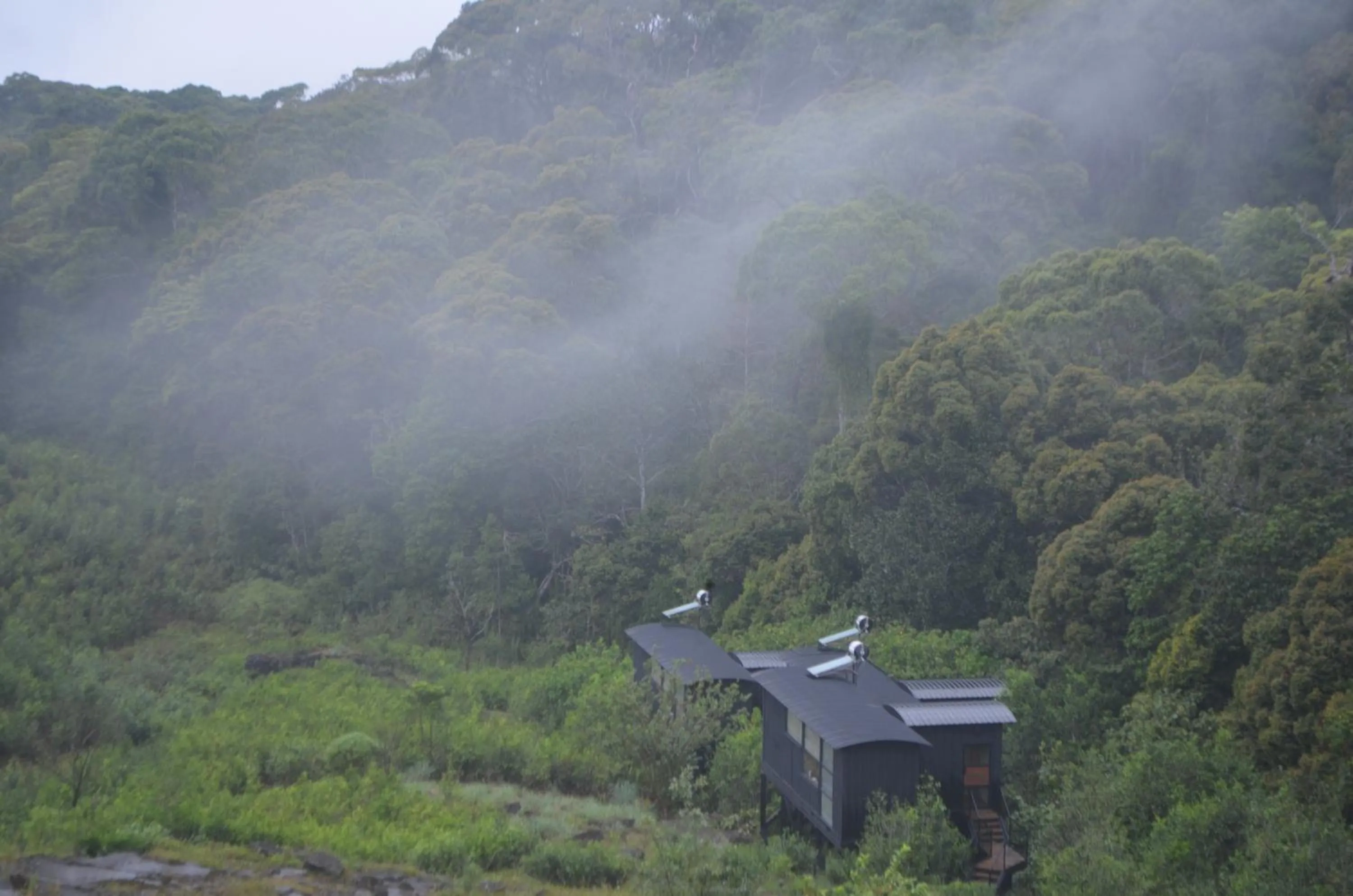 On site in The Rainforest Ecolodge - Sinharaja with Shuttle Service from Car Park