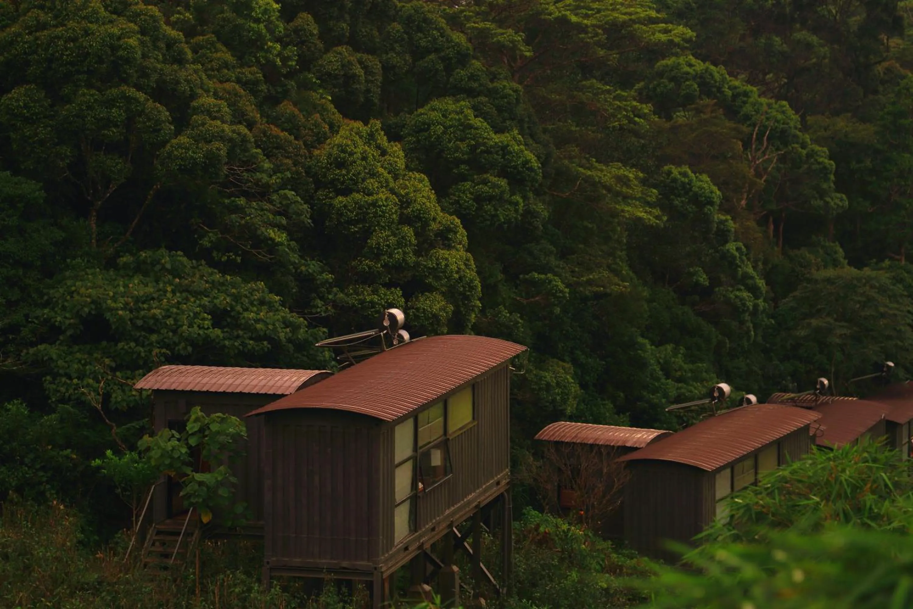 Garden view in The Rainforest Ecolodge - Sinharaja with Shuttle Service from Car Park