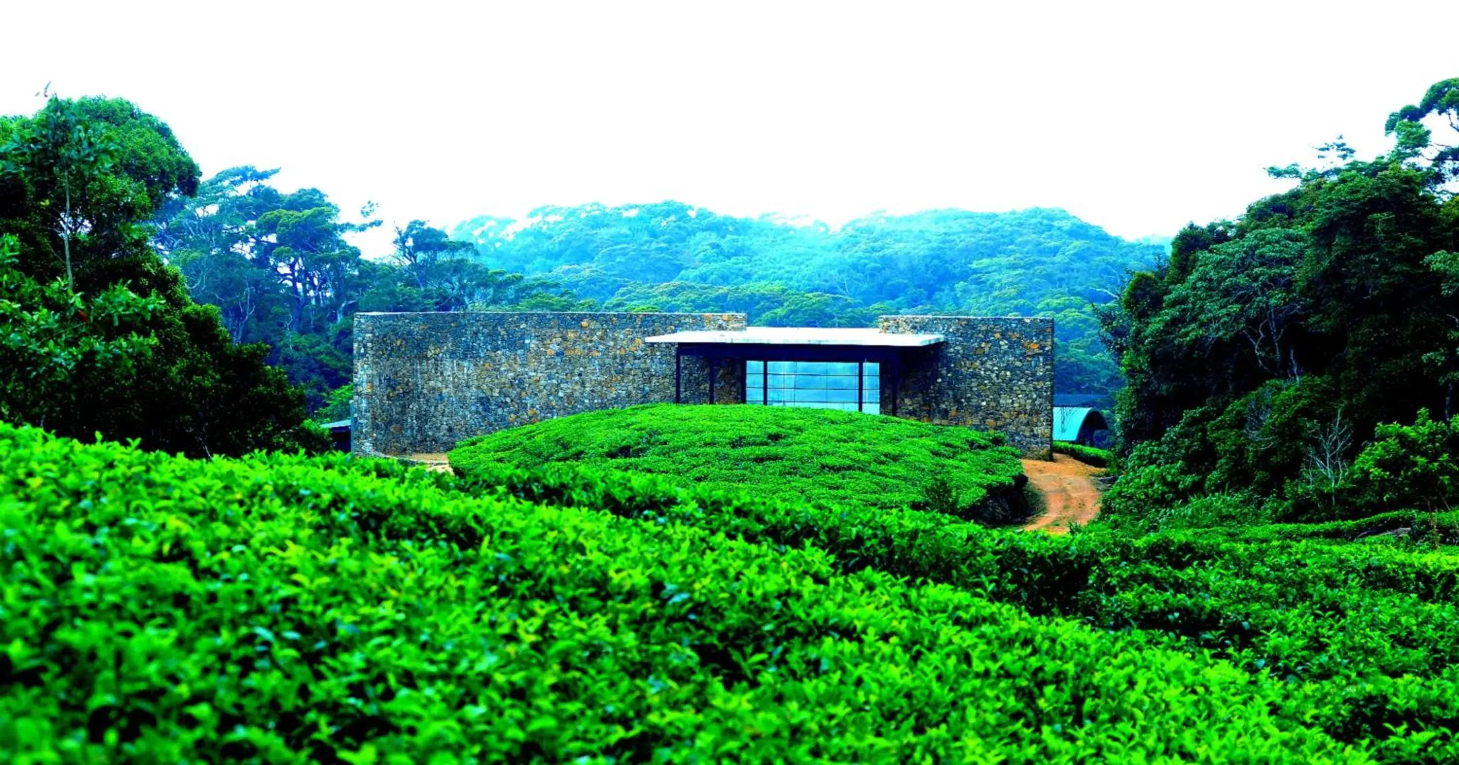 Property building in The Rainforest Ecolodge - Sinharaja with Shuttle Service from Car Park Property building in The Rainforest Ecolodge - Sinharaja with Shuttle Service from Car Park