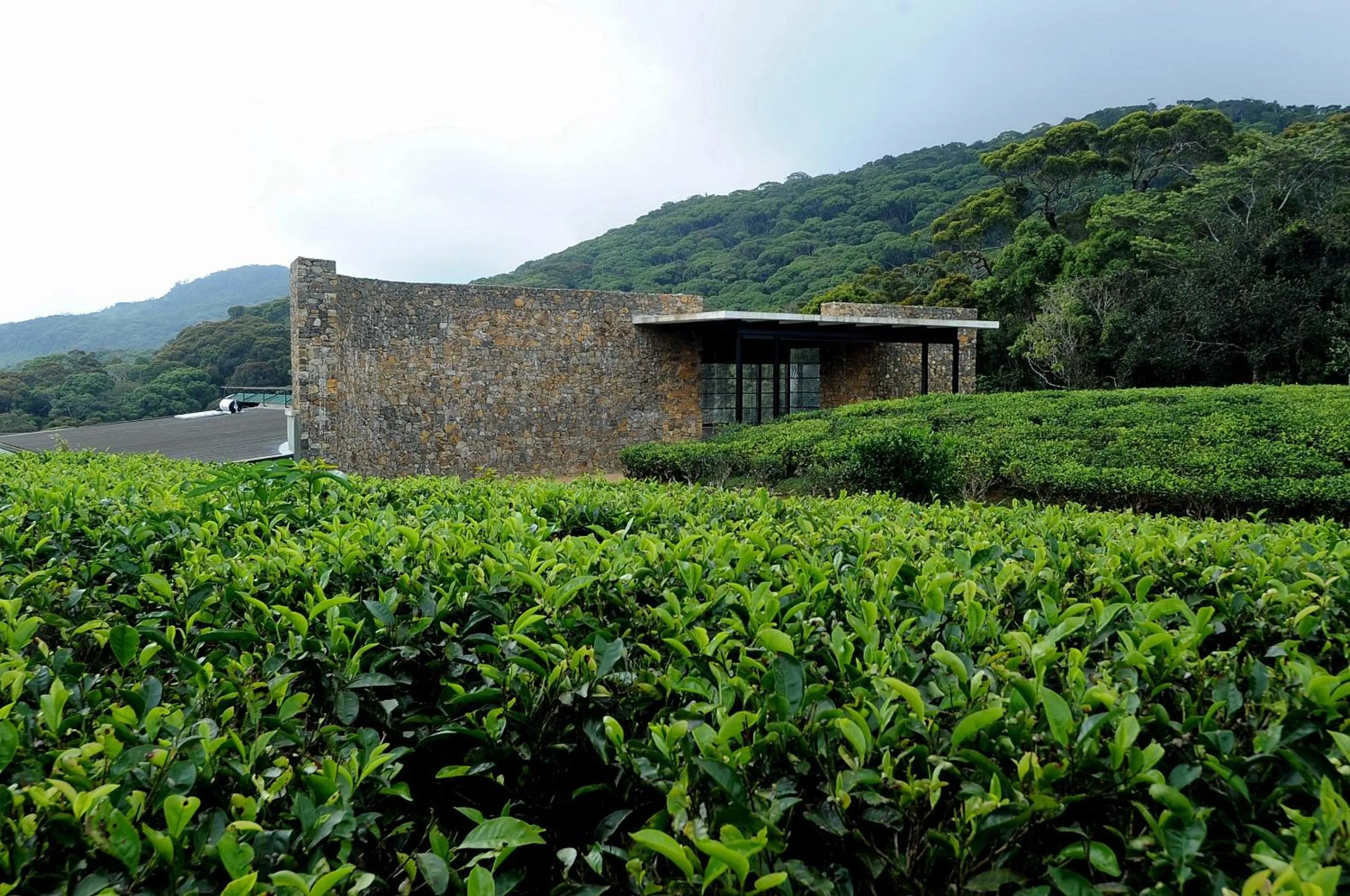 Lobby or reception in The Rainforest Ecolodge - Sinharaja with Shuttle Service from Car Park