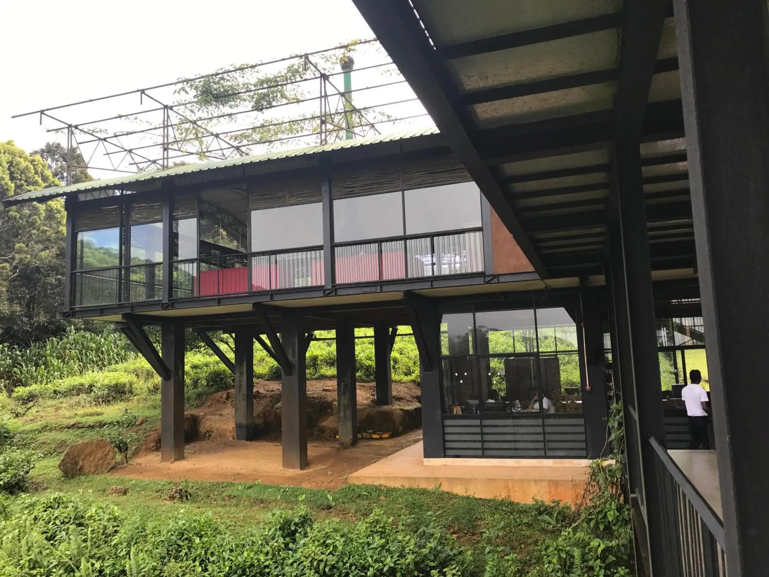 Property building in The Rainforest Ecolodge - Sinharaja with Shuttle Service from Car Park Property building in The Rainforest Ecolodge - Sinharaja with Shuttle Service from Car Park