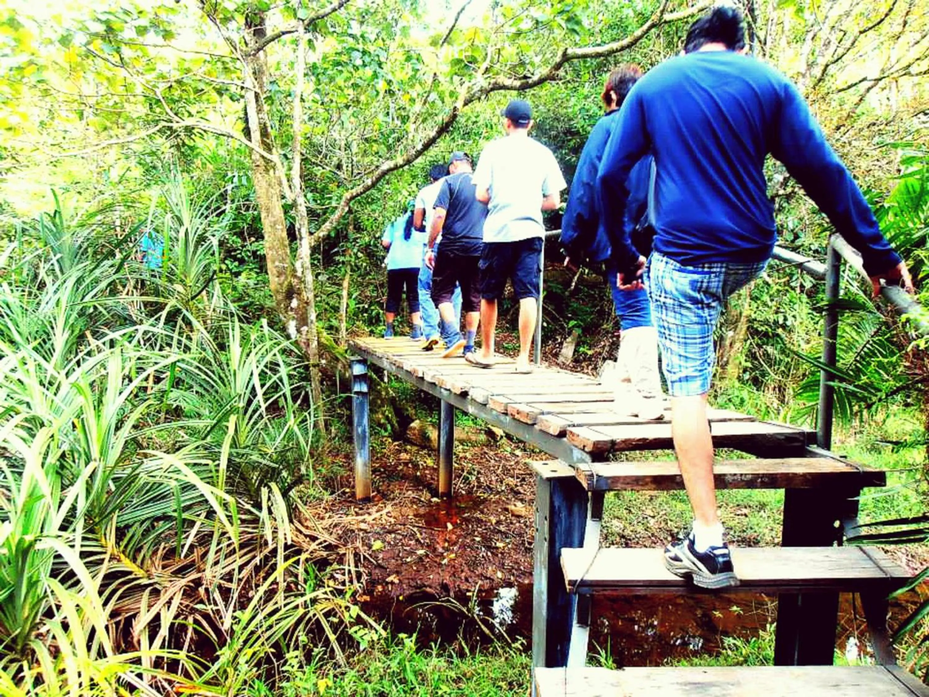 Activities in The Rainforest Ecolodge - Sinharaja with Shuttle Service from Car Park