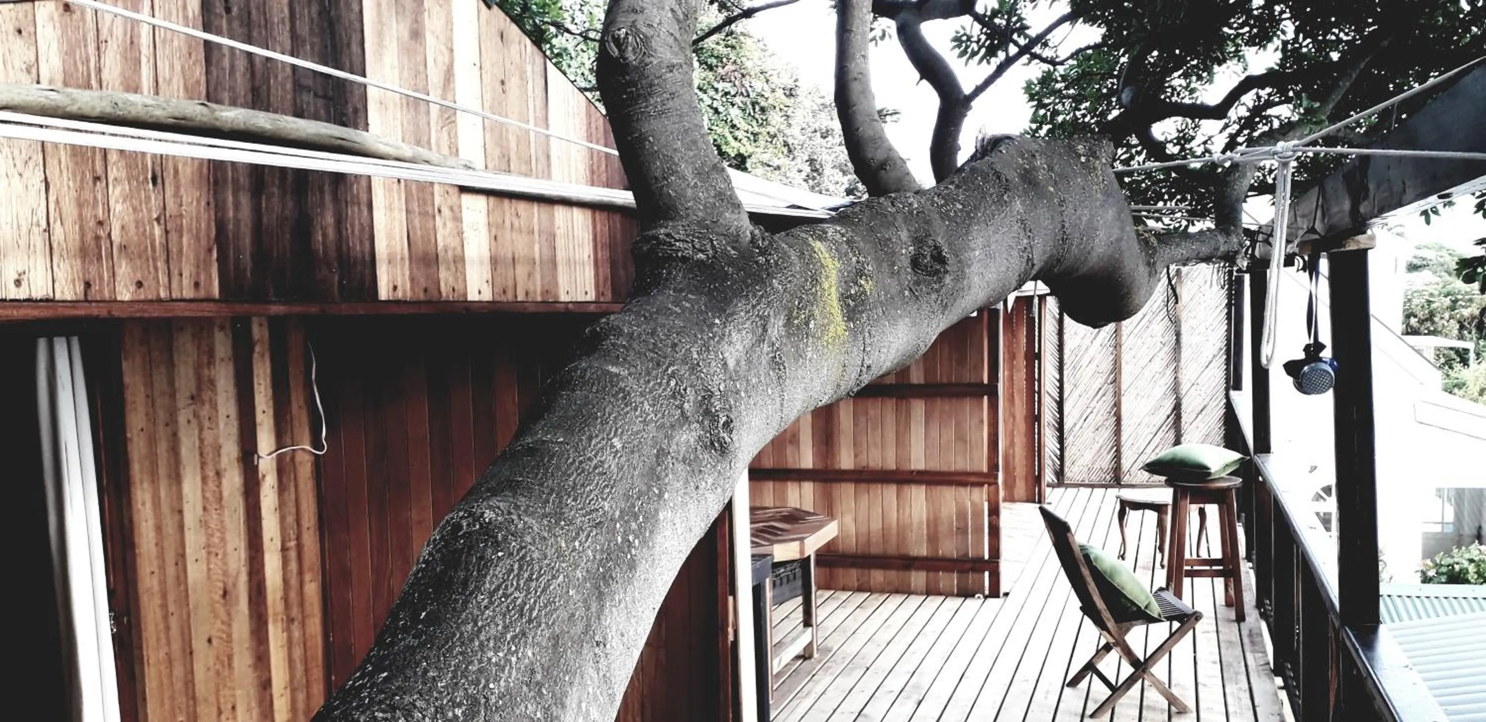 Facade/entrance in Scarborough Nature Lodge