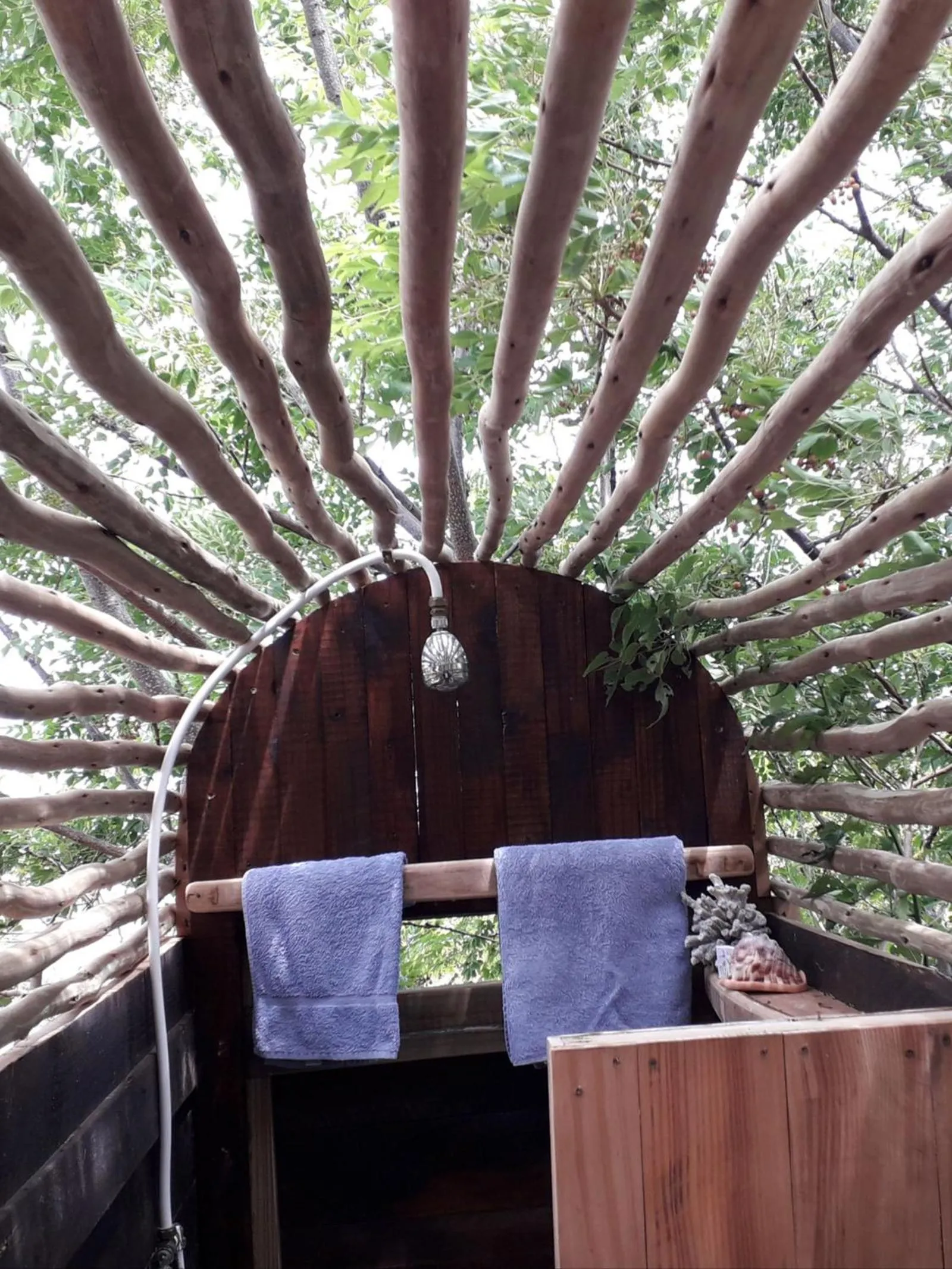 Shower in Scarborough Nature Lodge