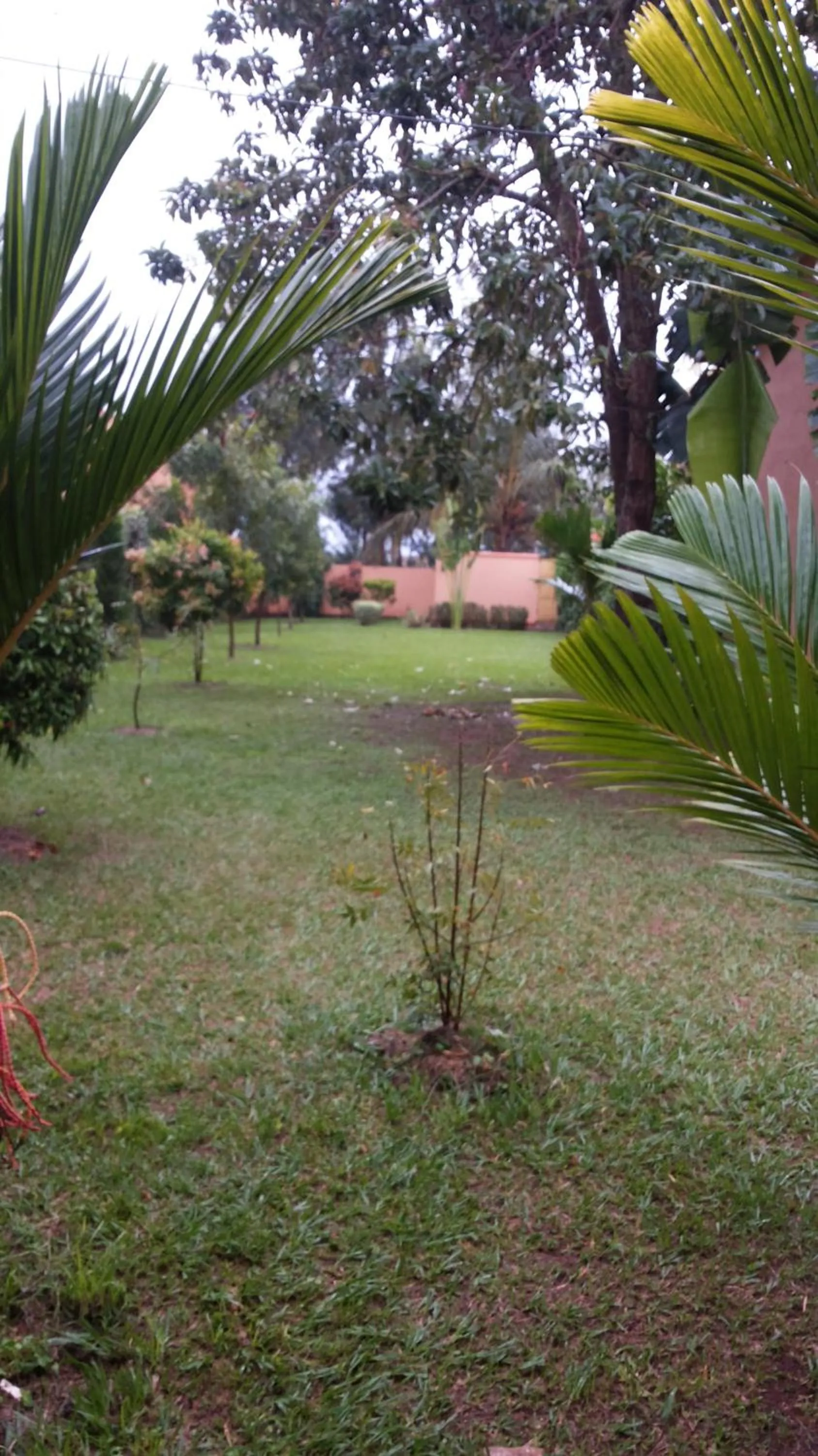 Garden in MakanHill Resort Hotel