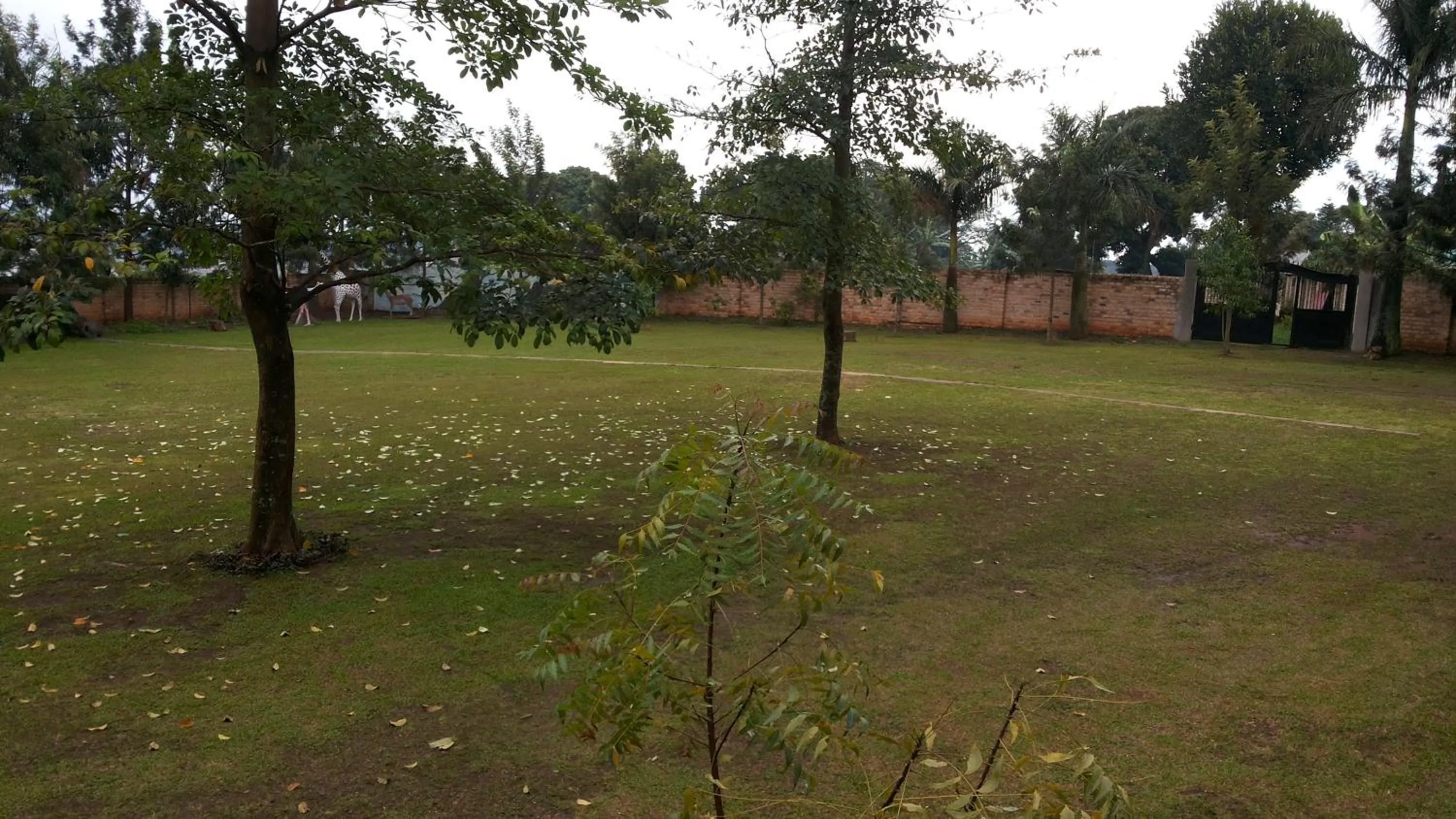 Garden in MakanHill Resort Hotel