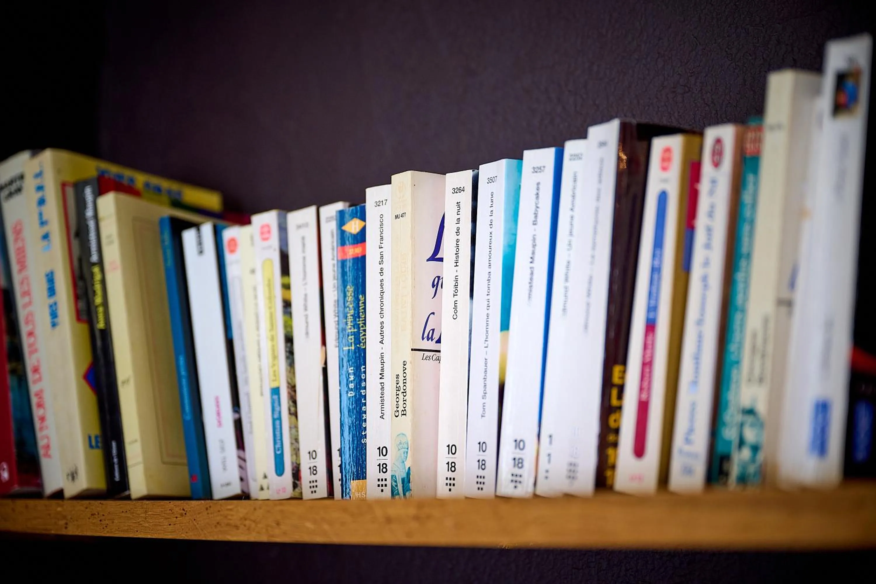 Library in Logis L'Ermitage Hôtel & Restaurant