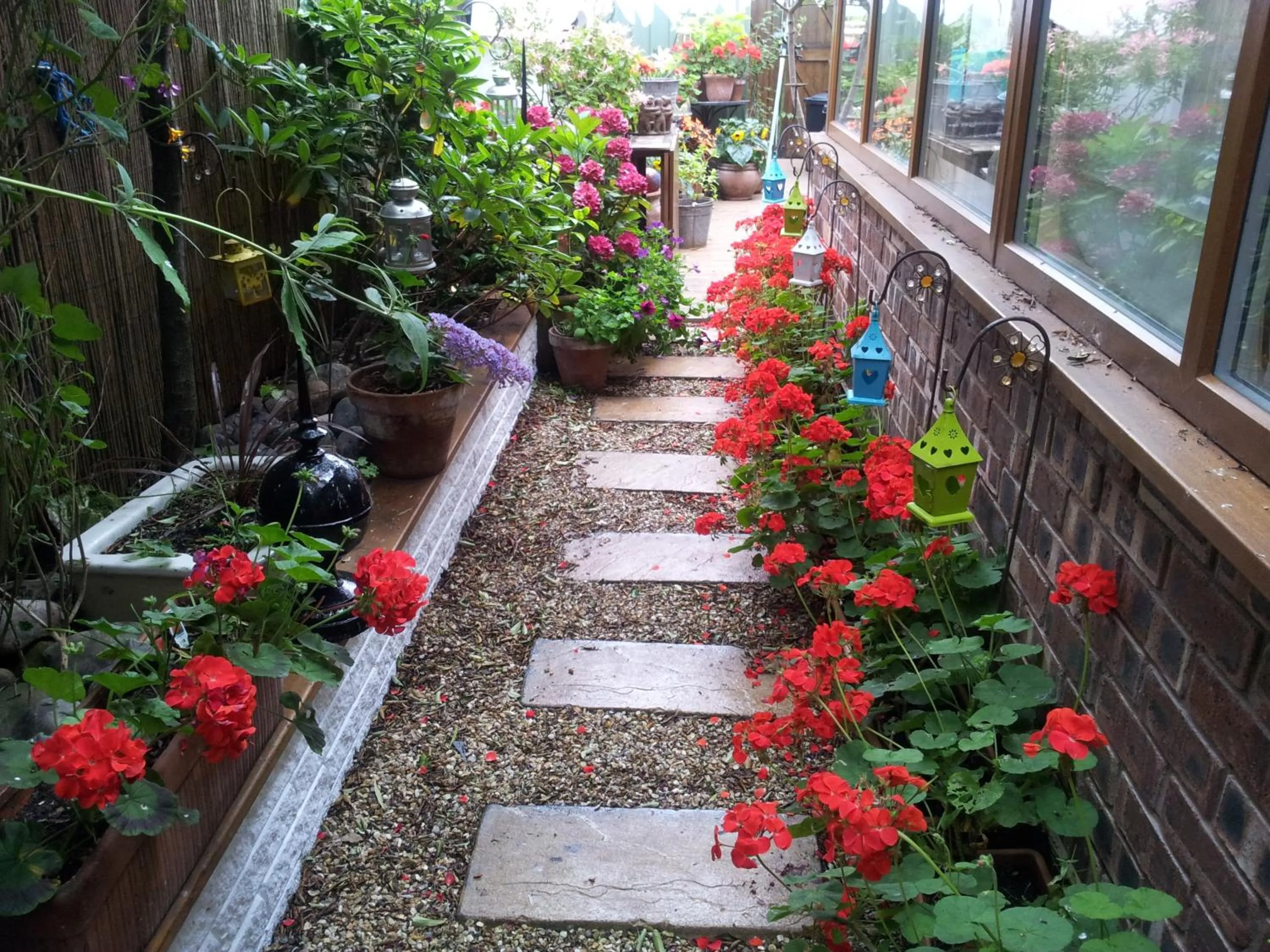 Garden view in The Ambassador Townhouse