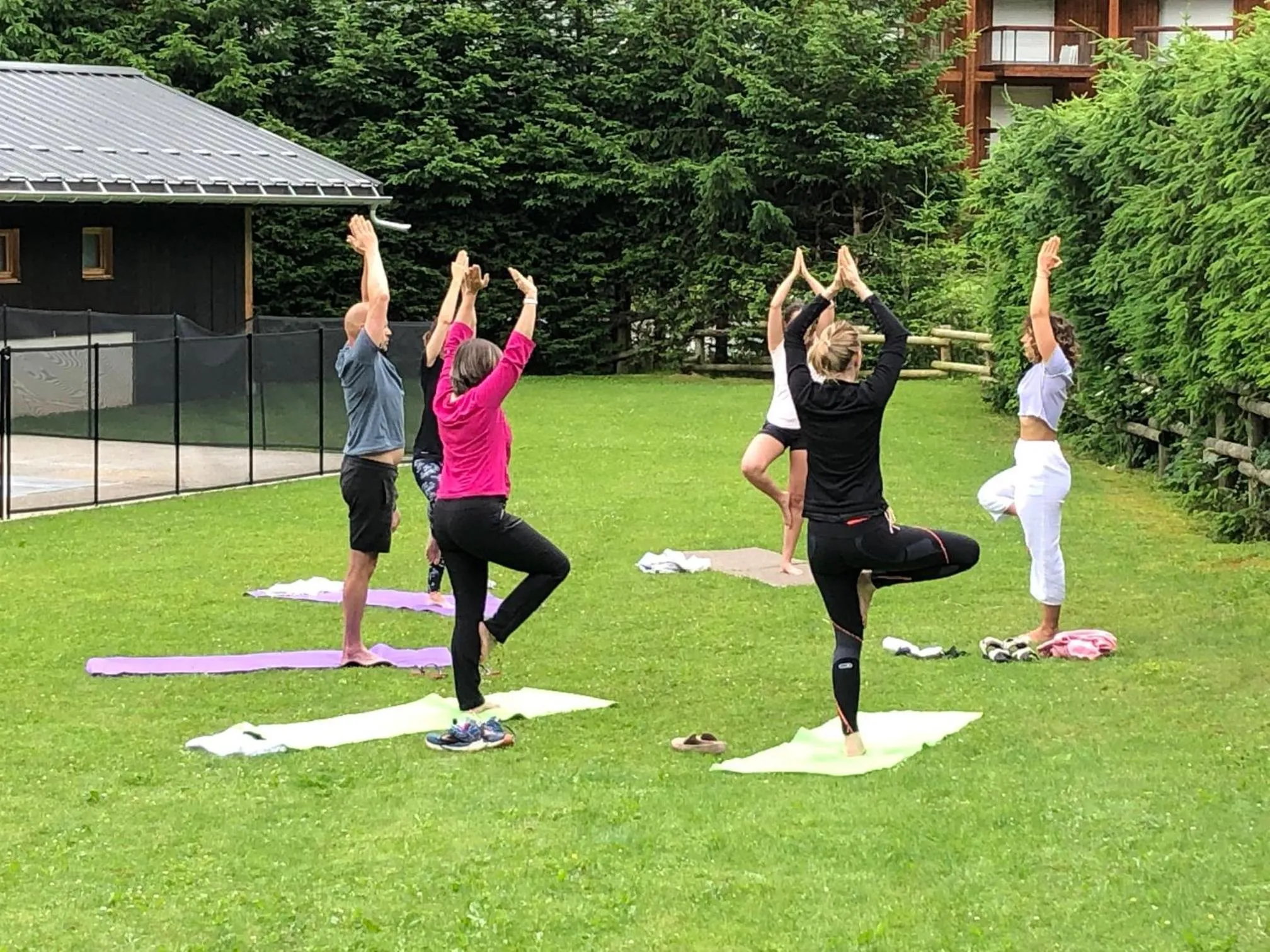 Natural landscape in Chalet-Hôtel La Chemenaz
