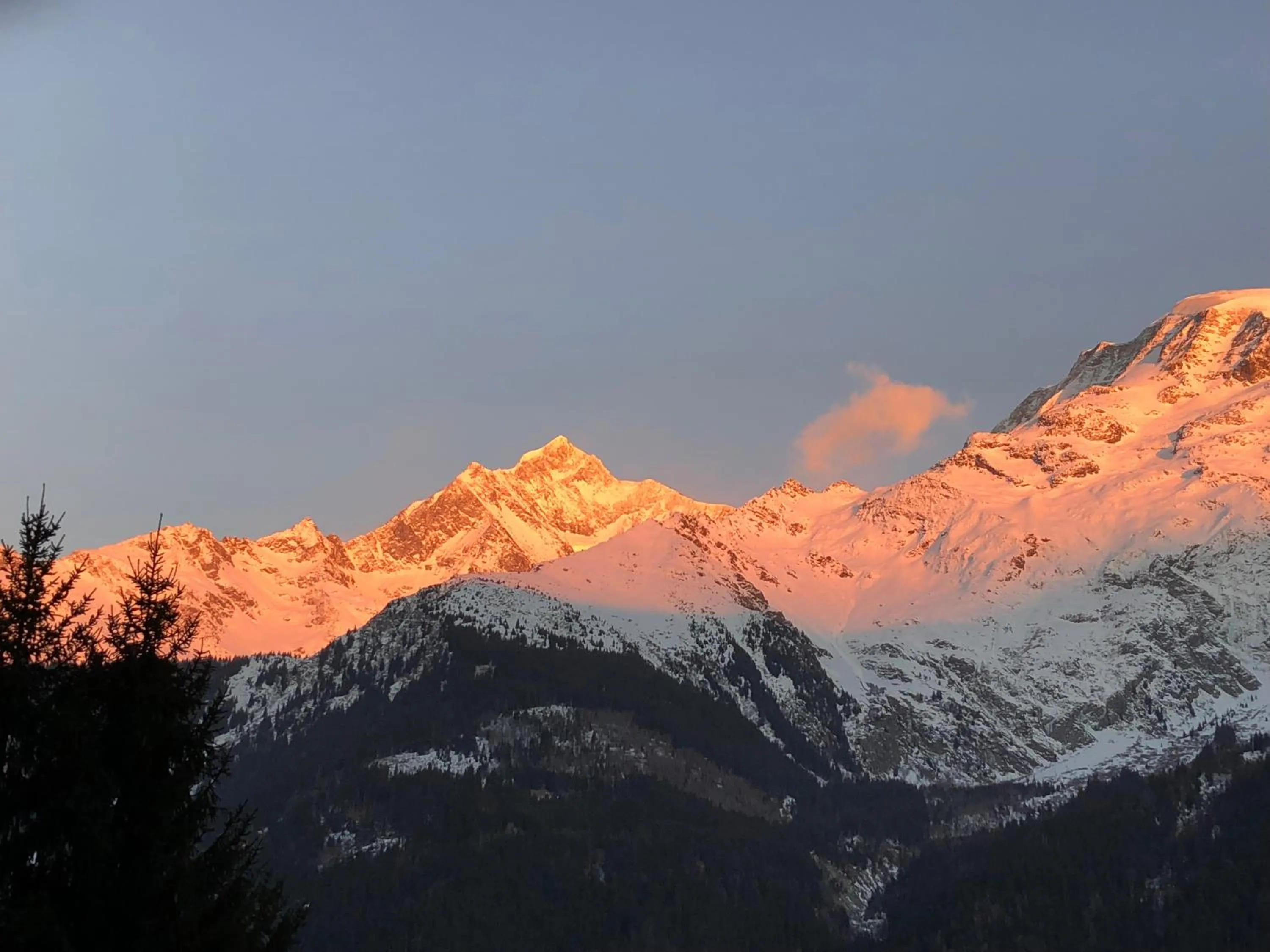 Area and facilities in Chalet-Hôtel La Chemenaz