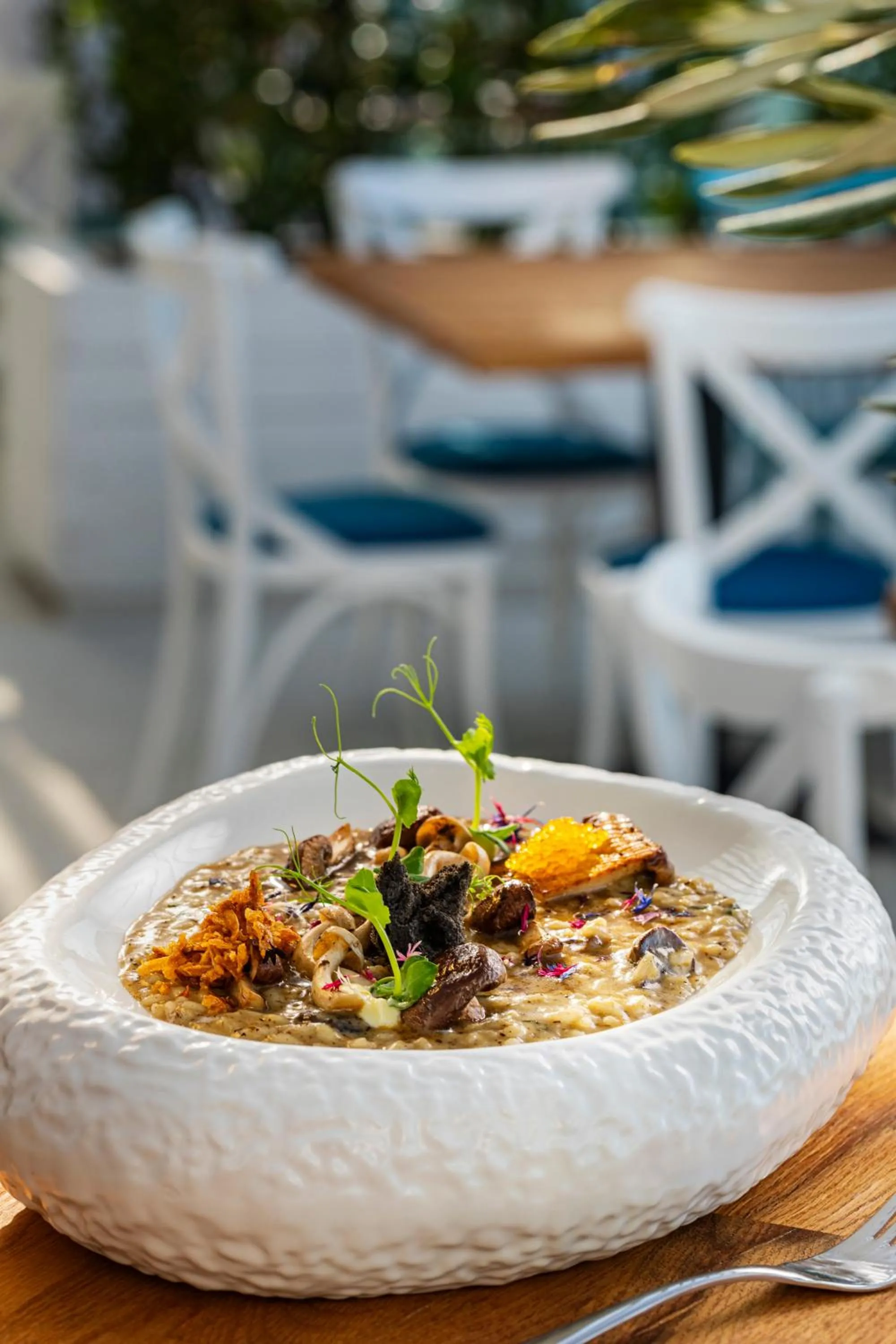 Food and drinks in Mount Athos Resort