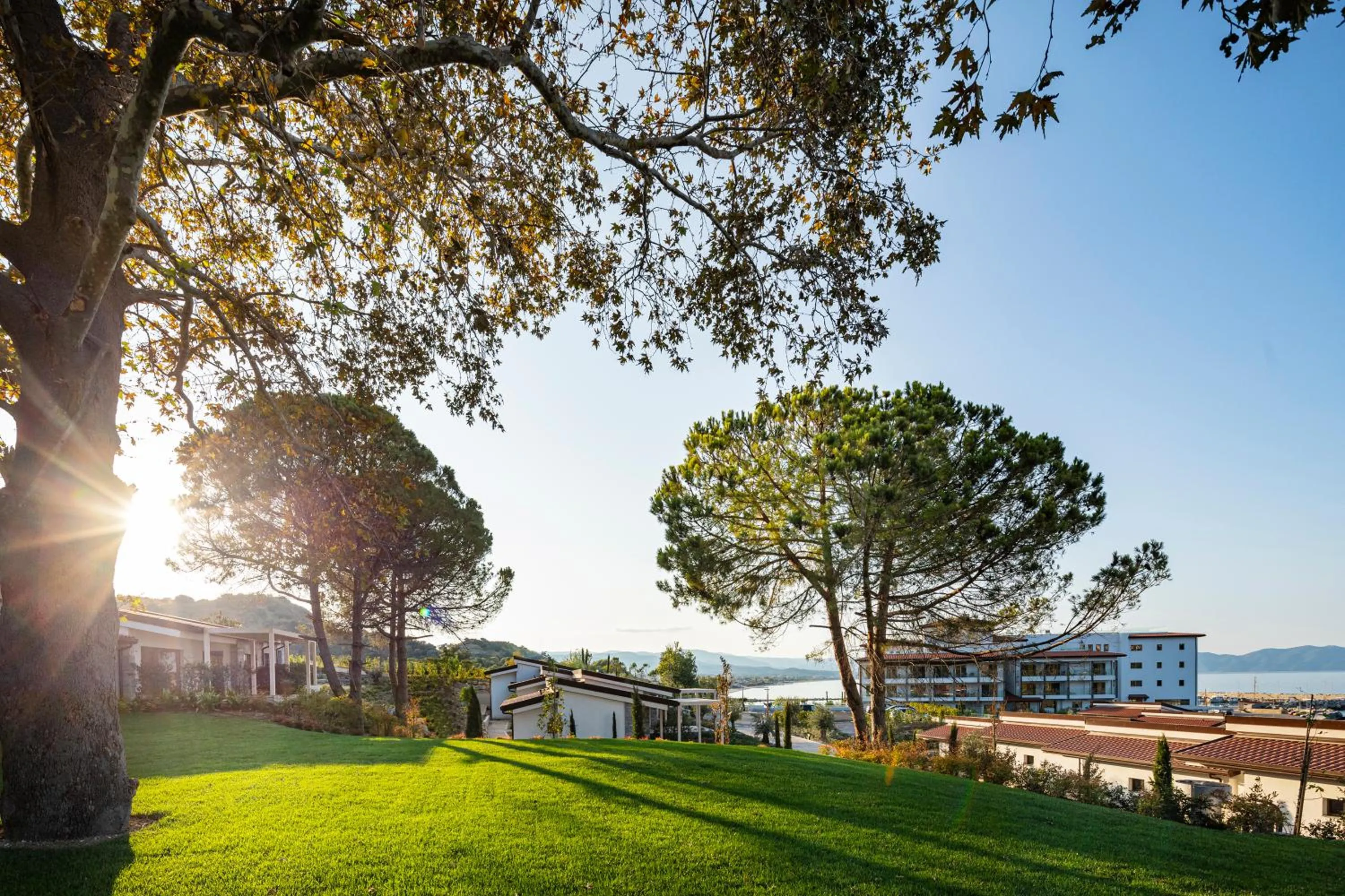 Garden in Mount Athos Resort