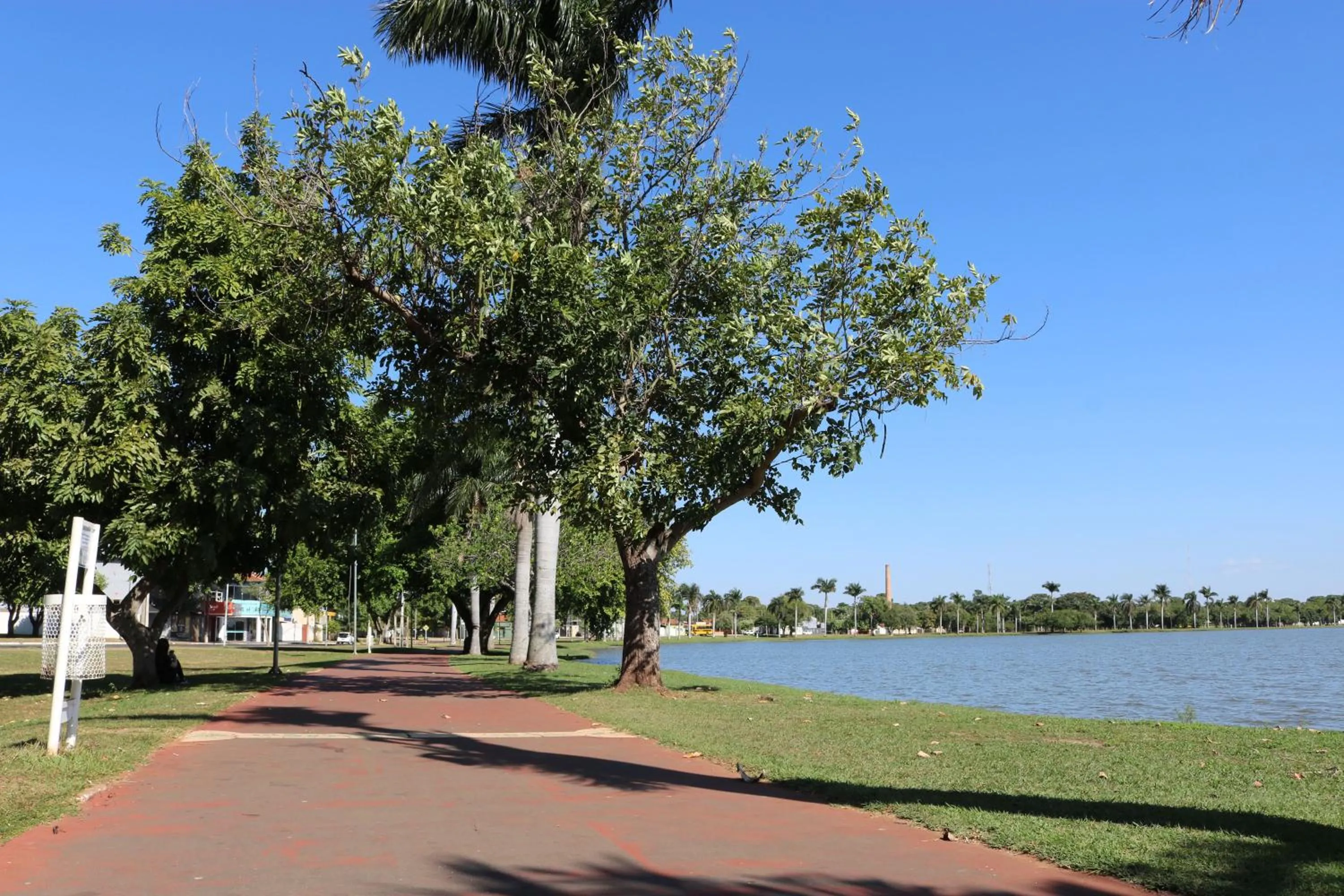 Natural landscape in Samba Três Lagoas
