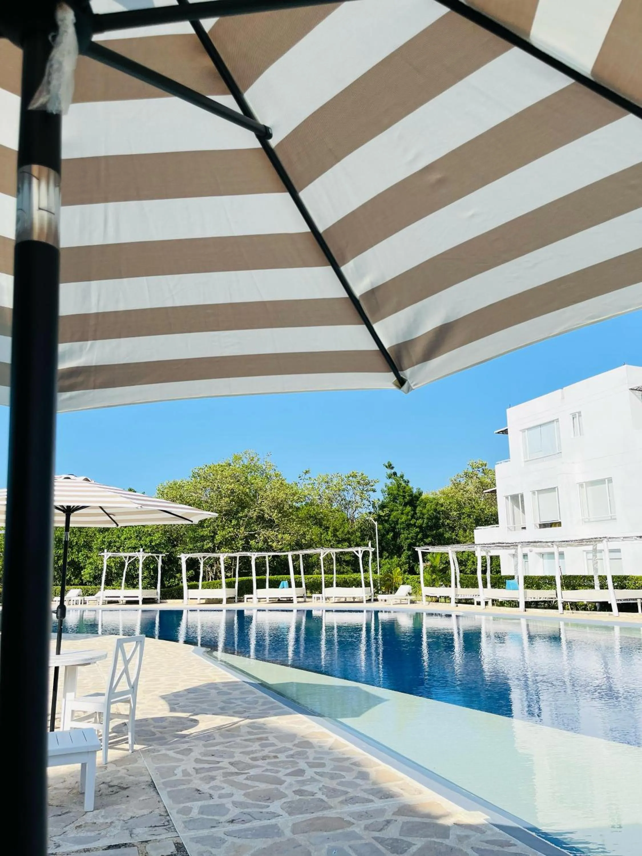 Bird's eye view in Santo Manglar Cartagena Life Wellness Spa Hotel