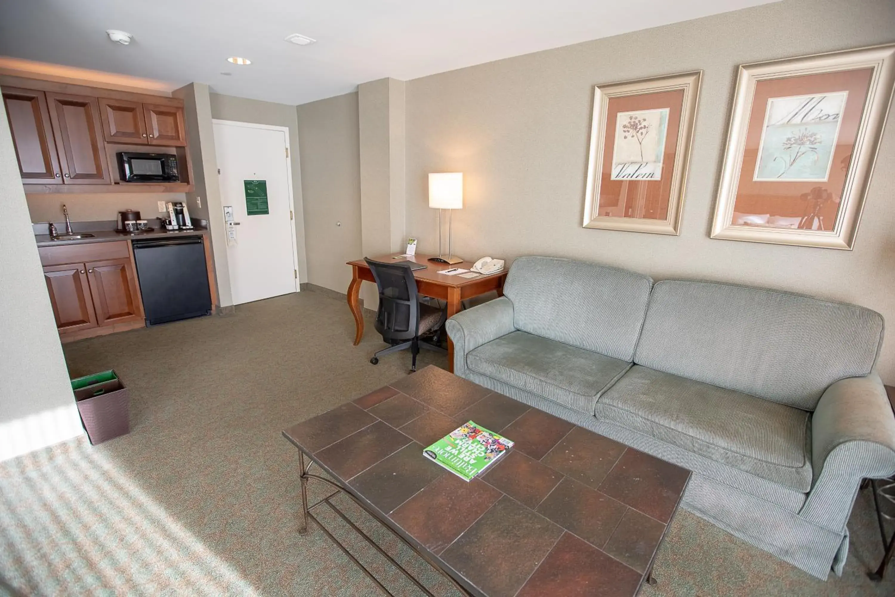 Living room in Turf Valley Resort Living room in Turf Valley Resort