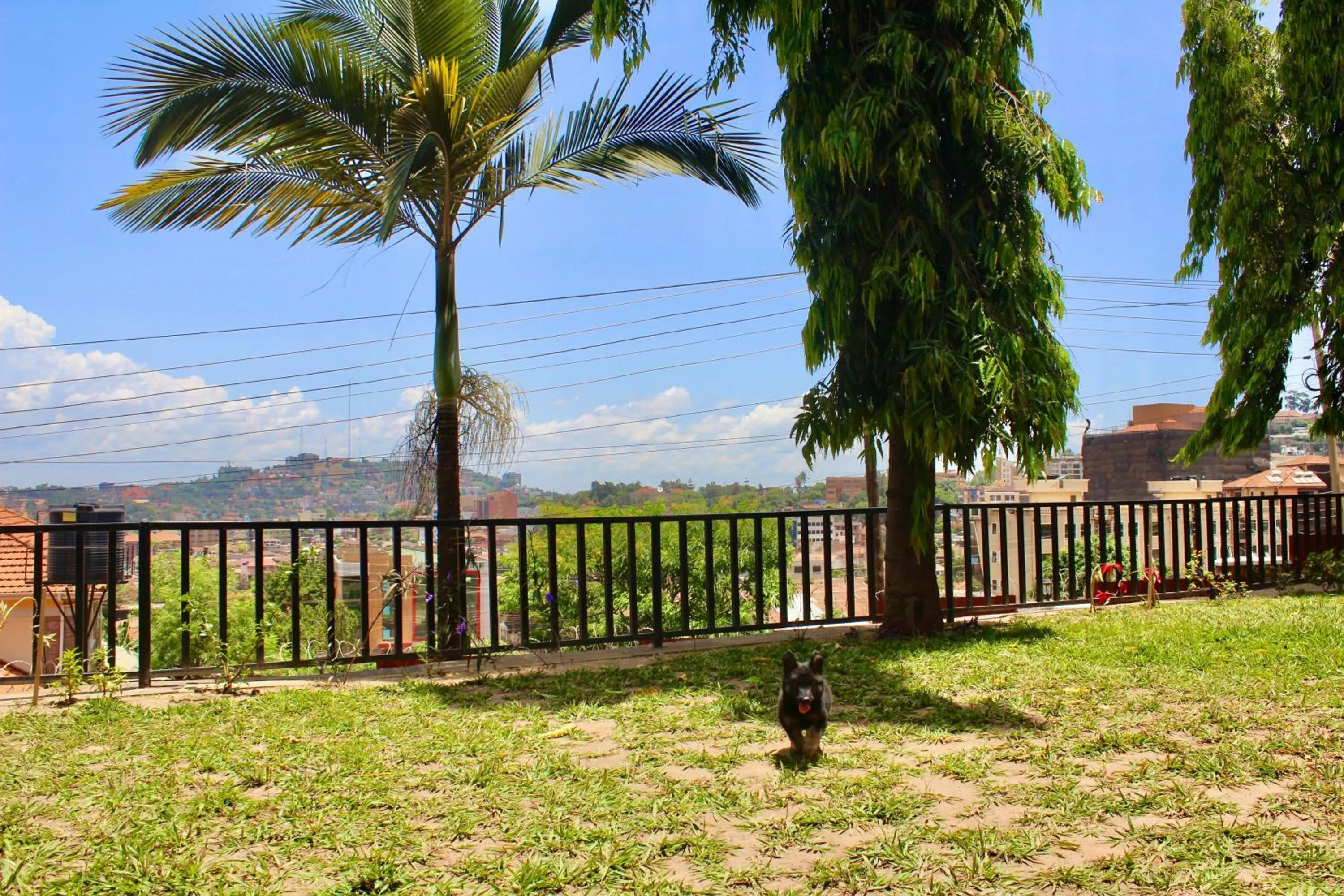 Pets in Acacia Villa Kampala