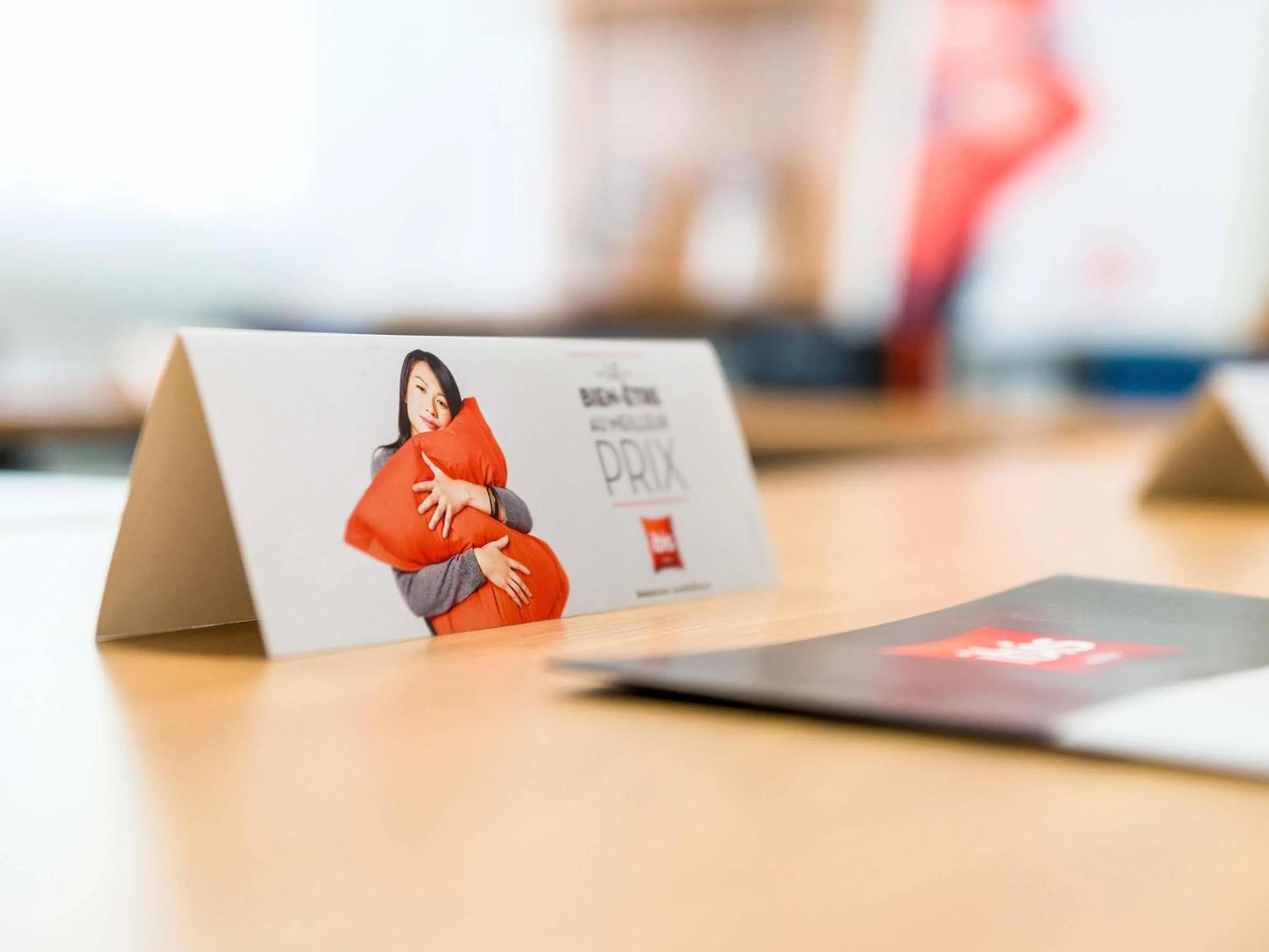 Meeting/conference room in ibis Sisteron