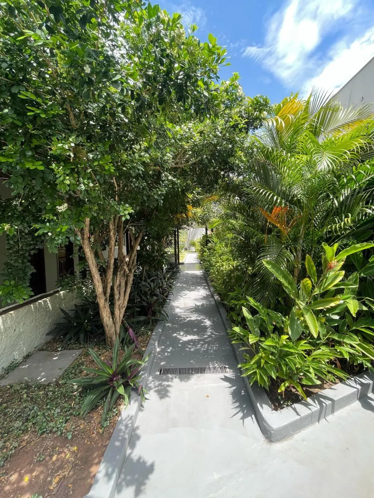 Natural landscape in Riviera Pantanal Hotel