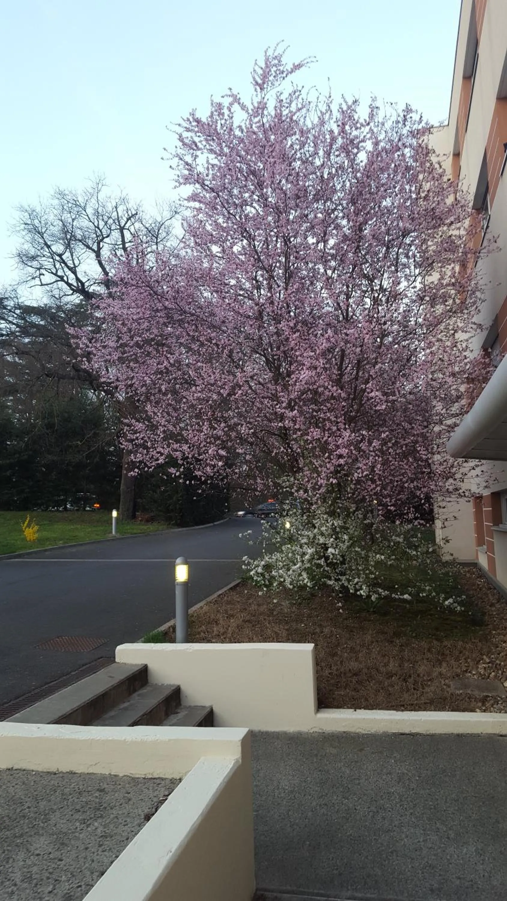 Facade/entrance in City Résidence Lyon Marcy