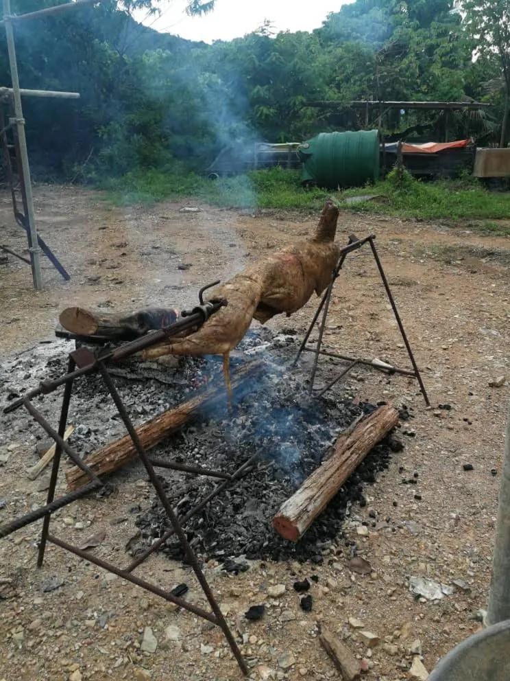 Activities in Bamboo Cottage Langkawi