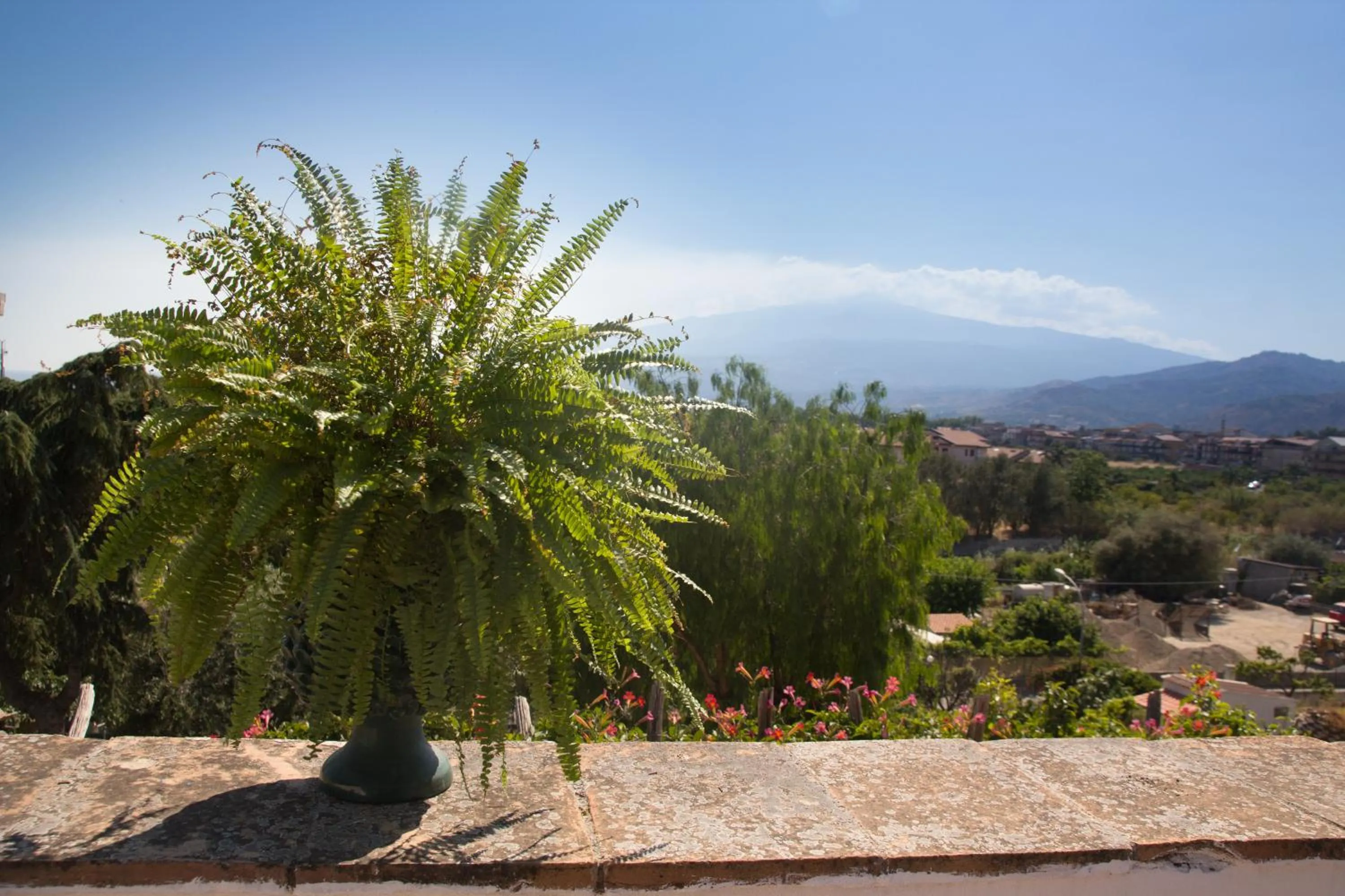 Balcony/Terrace in B&B Villa Accademia