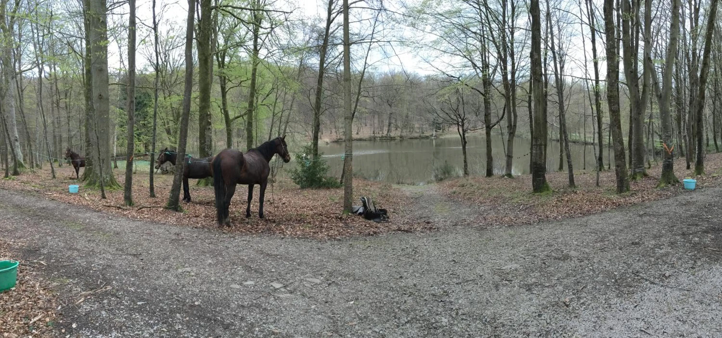 Natural landscape in Le Pavillon De Gouffern