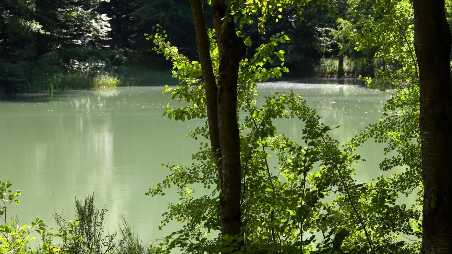 Natural landscape in Le Pavillon De Gouffern