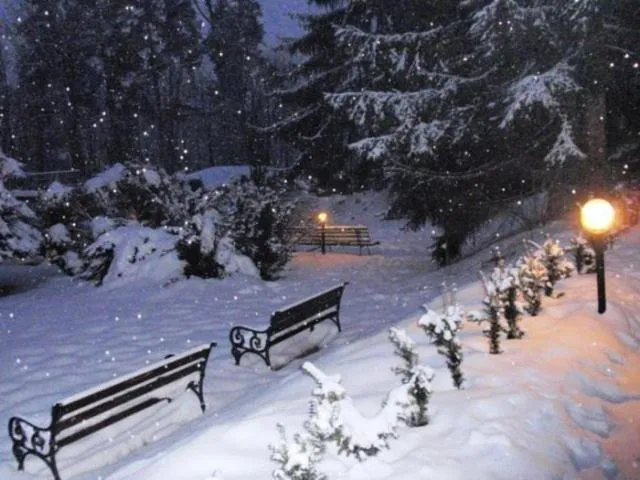 Garden in Willa Światowid