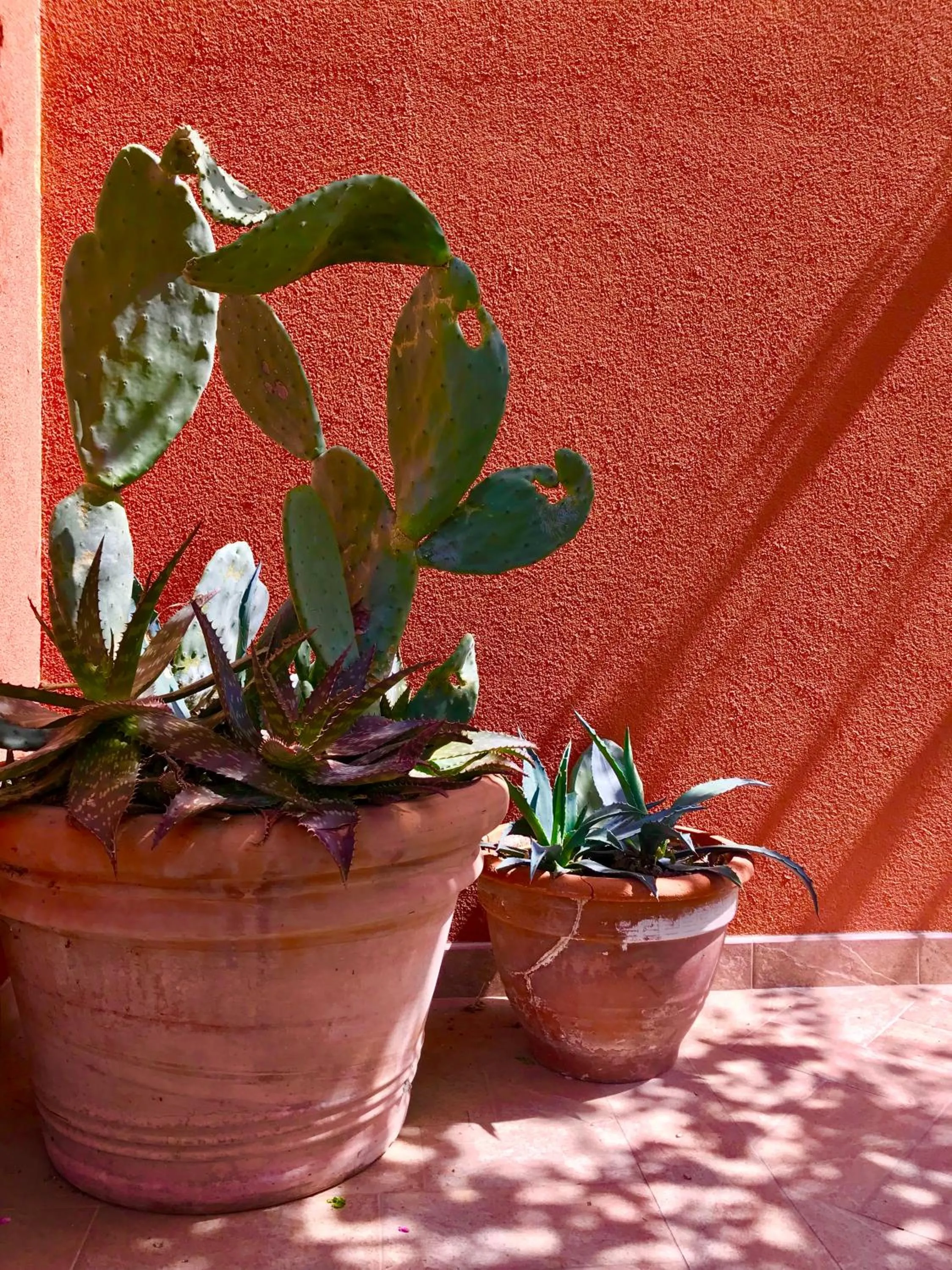 Other in Al Vecchio Fienile