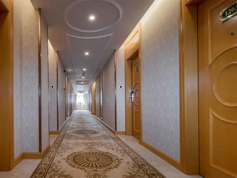 Vienna Hotel(Shenzhen Shajing Jingjinbaina Branch)