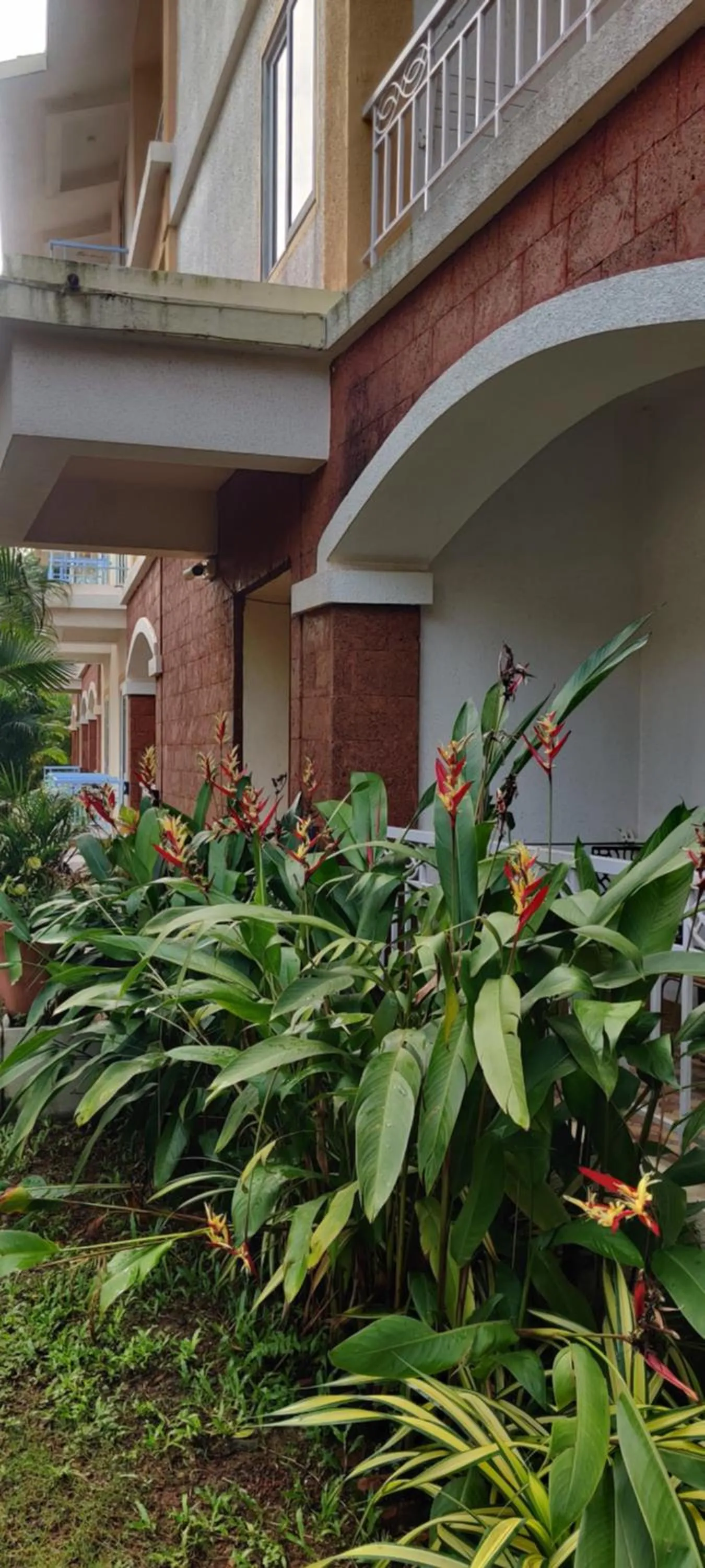 Property building in Passions de Goa