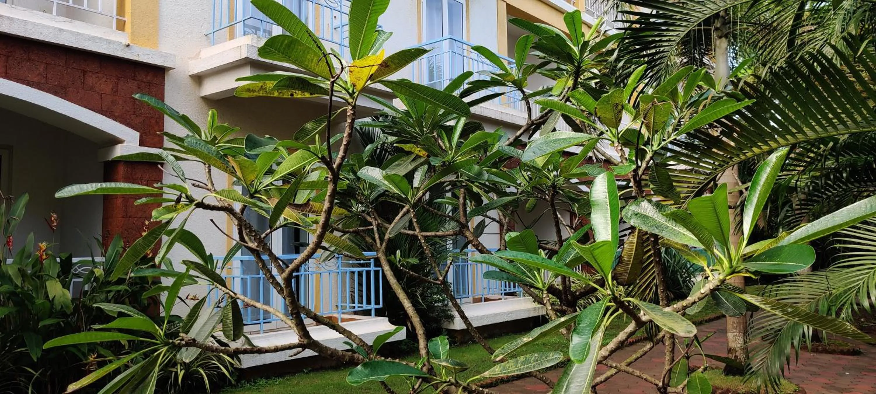 Garden in Passions de Goa