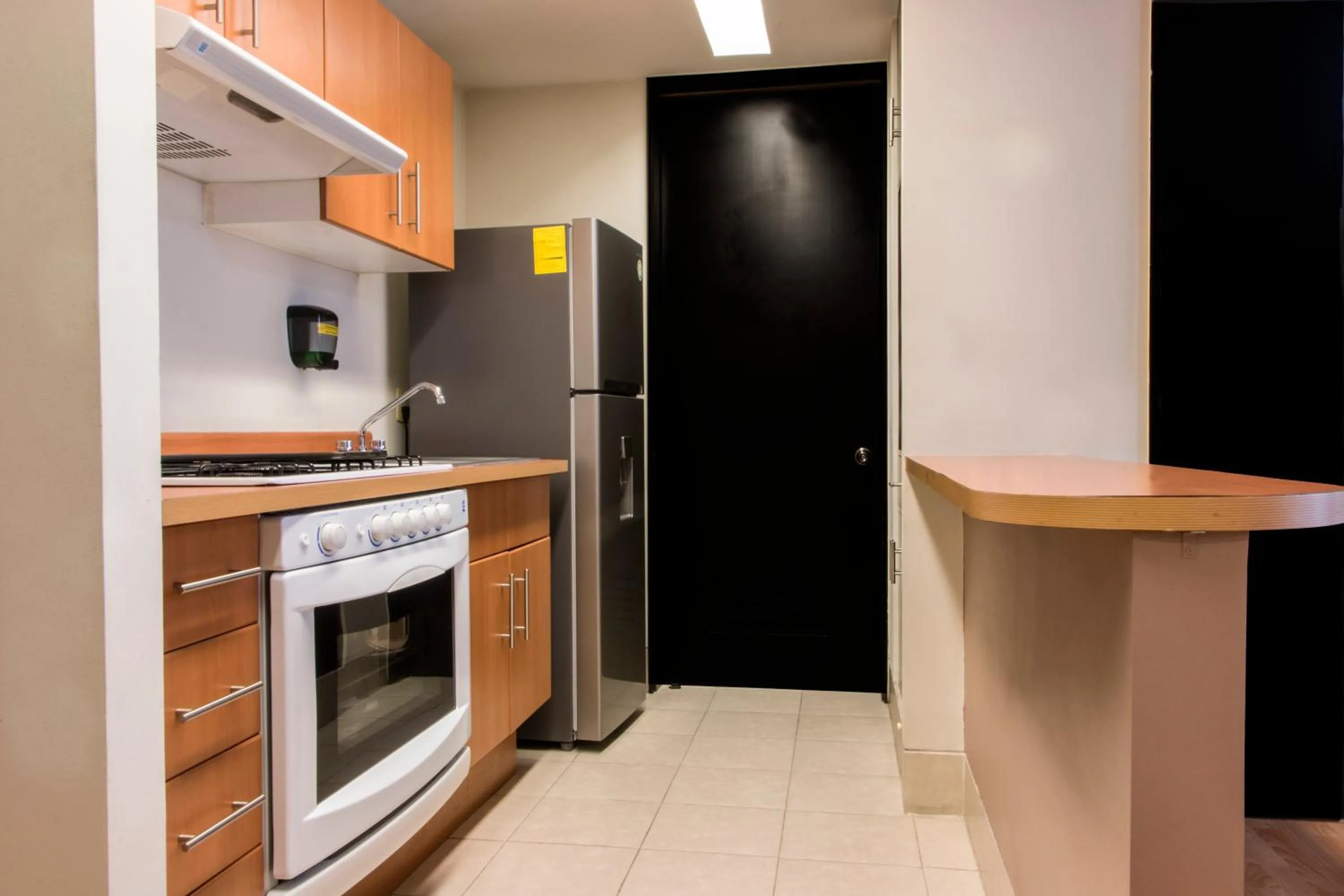 Kitchen or kitchenette in Puerta Alameda Suites México
