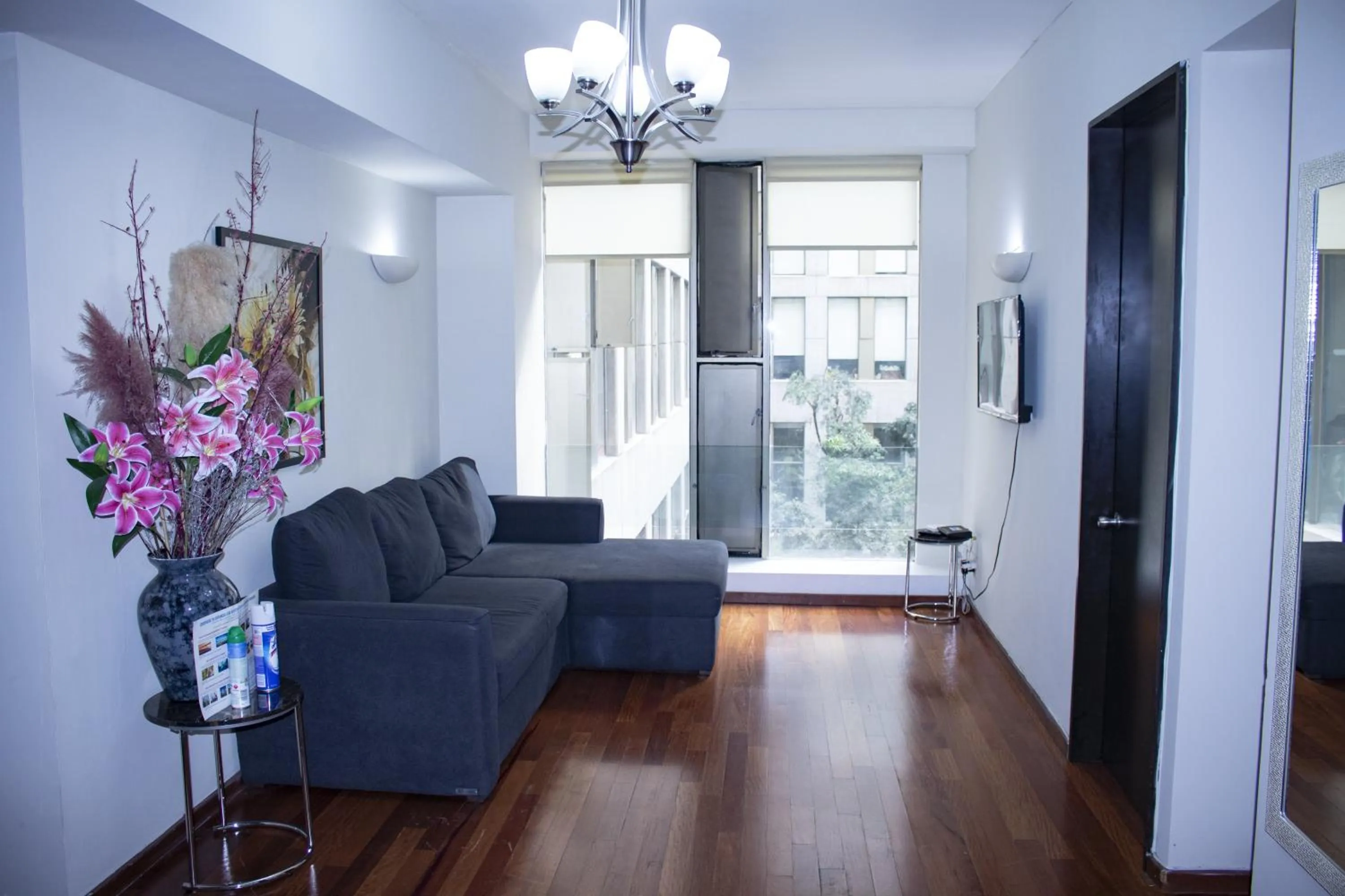 TV and multimedia in Puerta Alameda Suites México