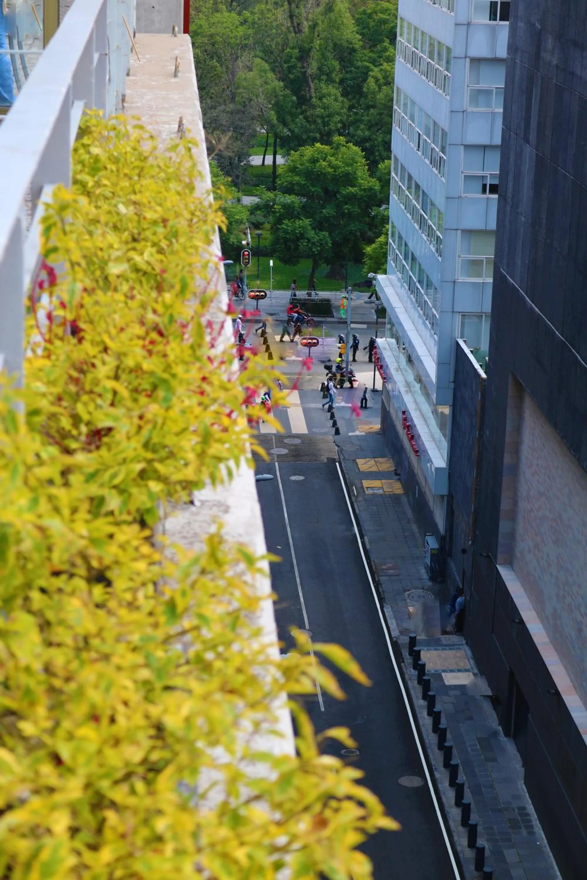 Street view in Puerta Alameda Suites México