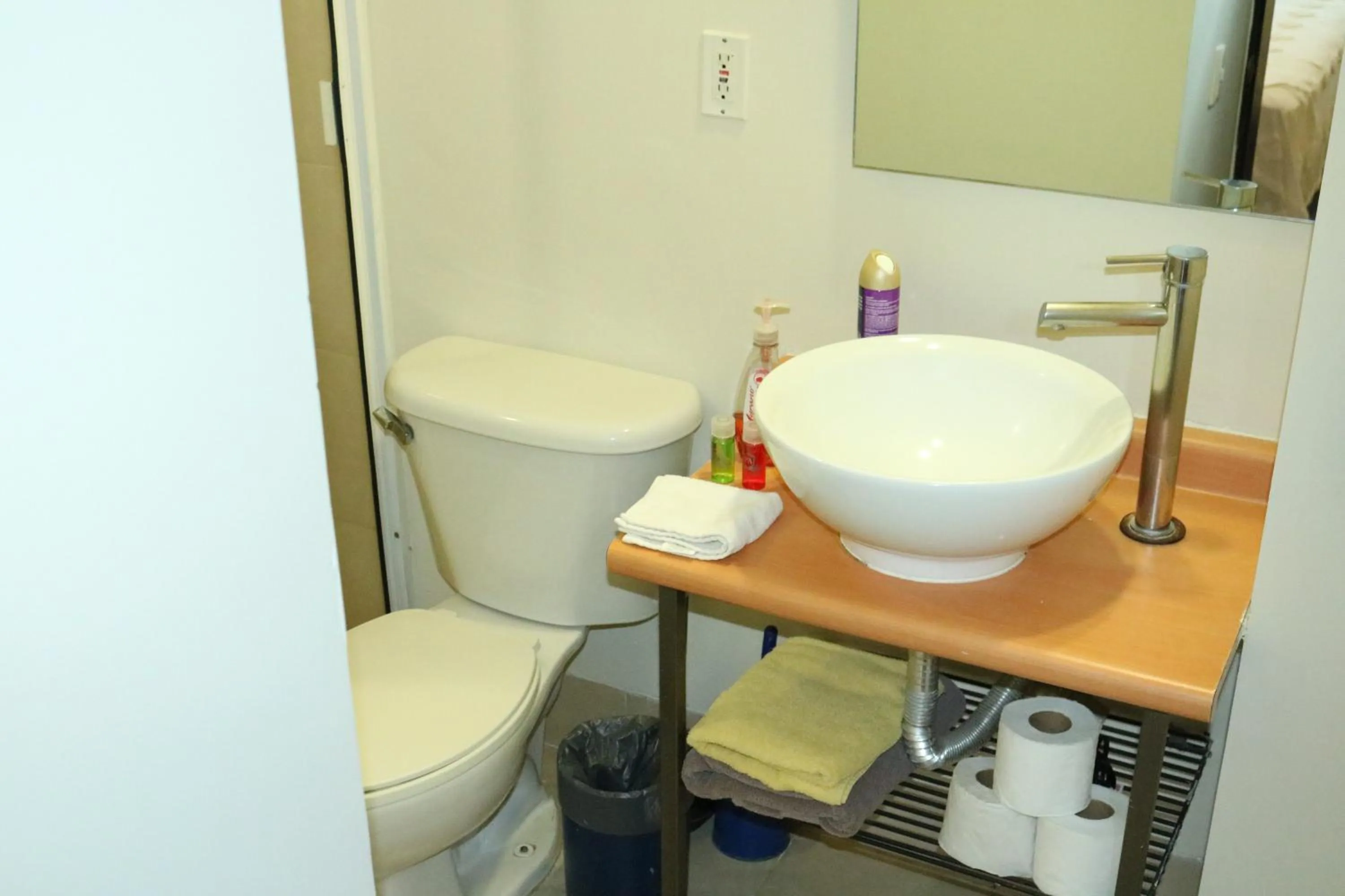 Bathroom in Puerta Alameda Suites México