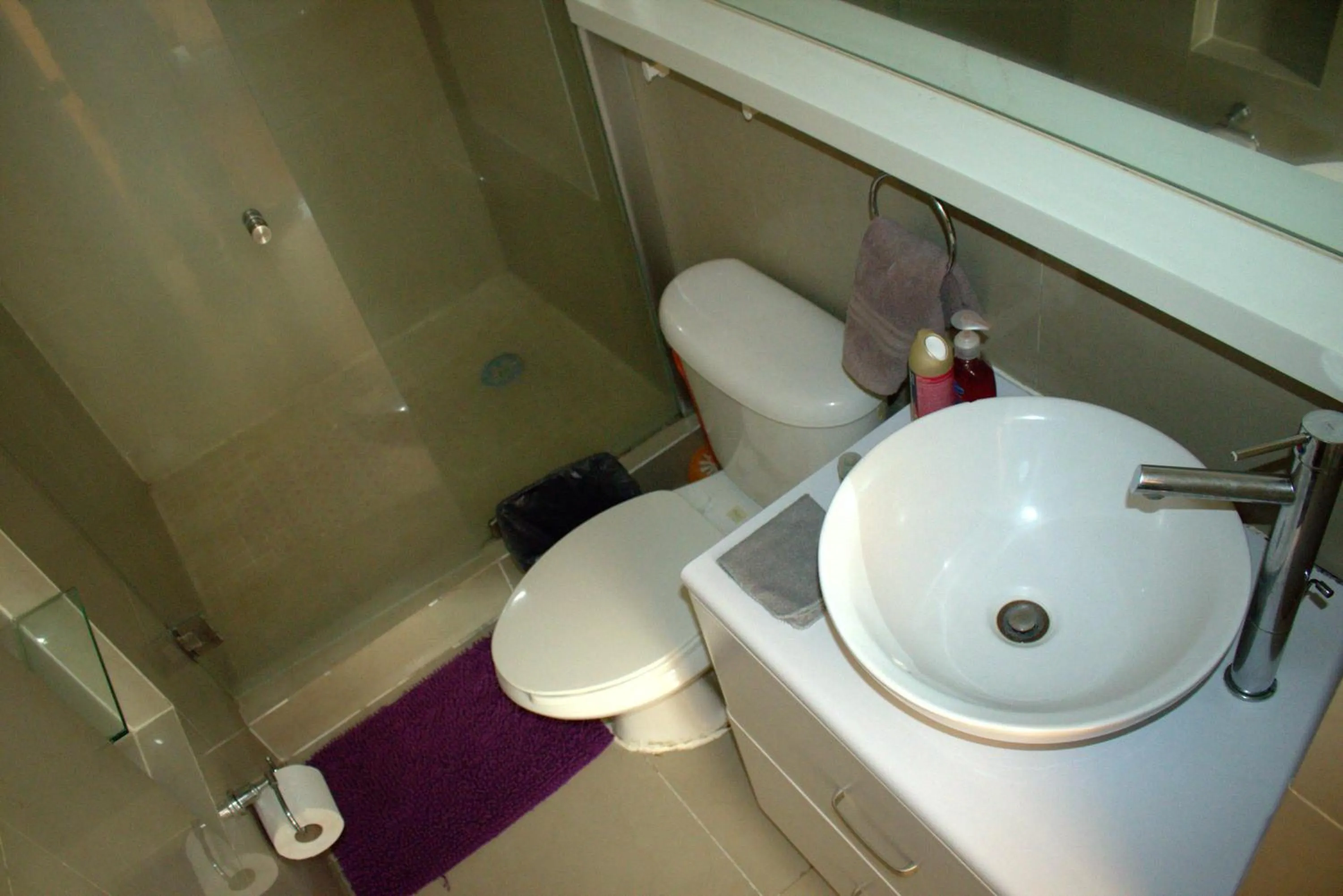 Bathroom in Puerta Alameda Suites México