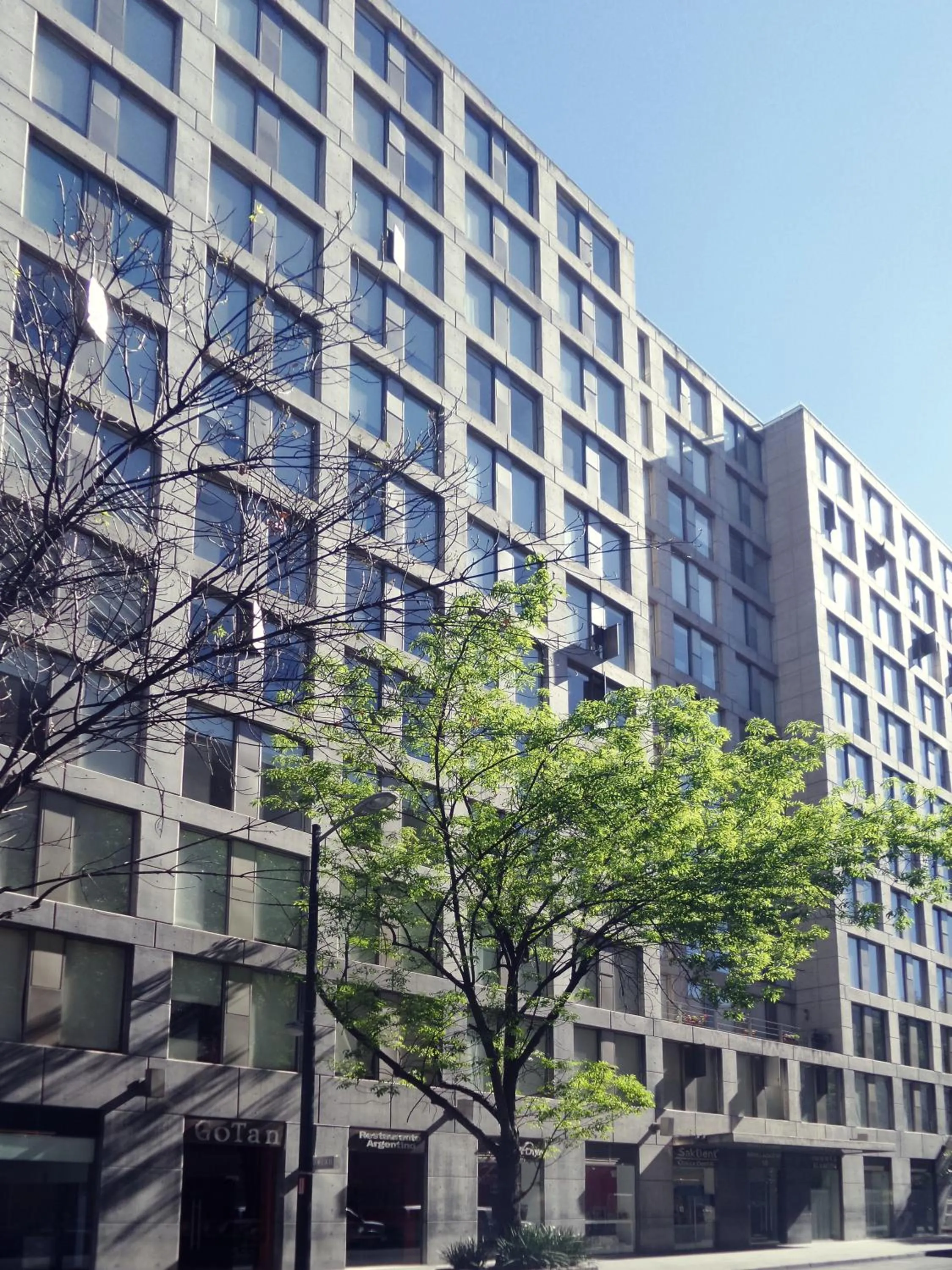 View (from property/room) in Puerta Alameda Suites México