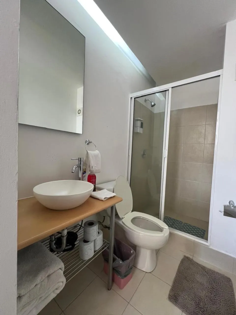 Bathroom in Puerta Alameda Suites México