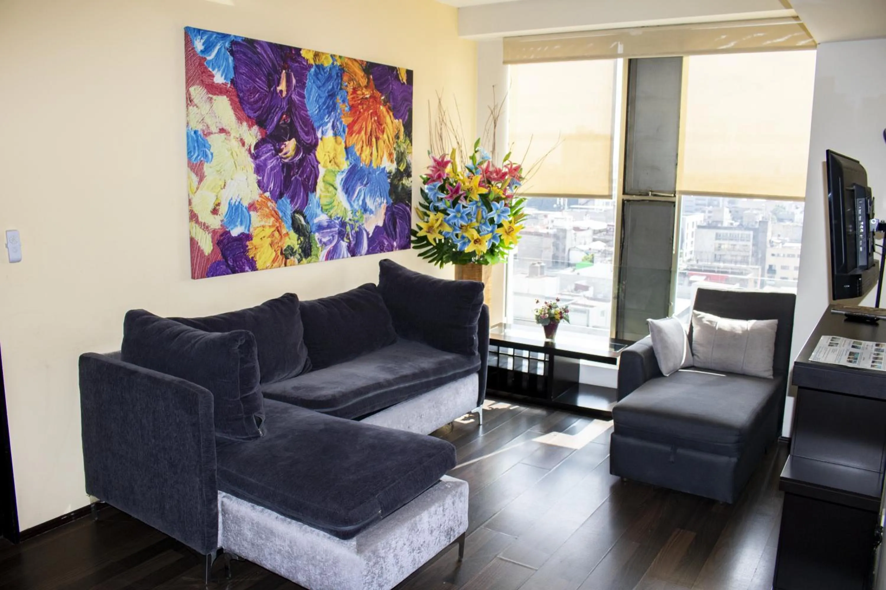 TV and multimedia in Puerta Alameda Suites México