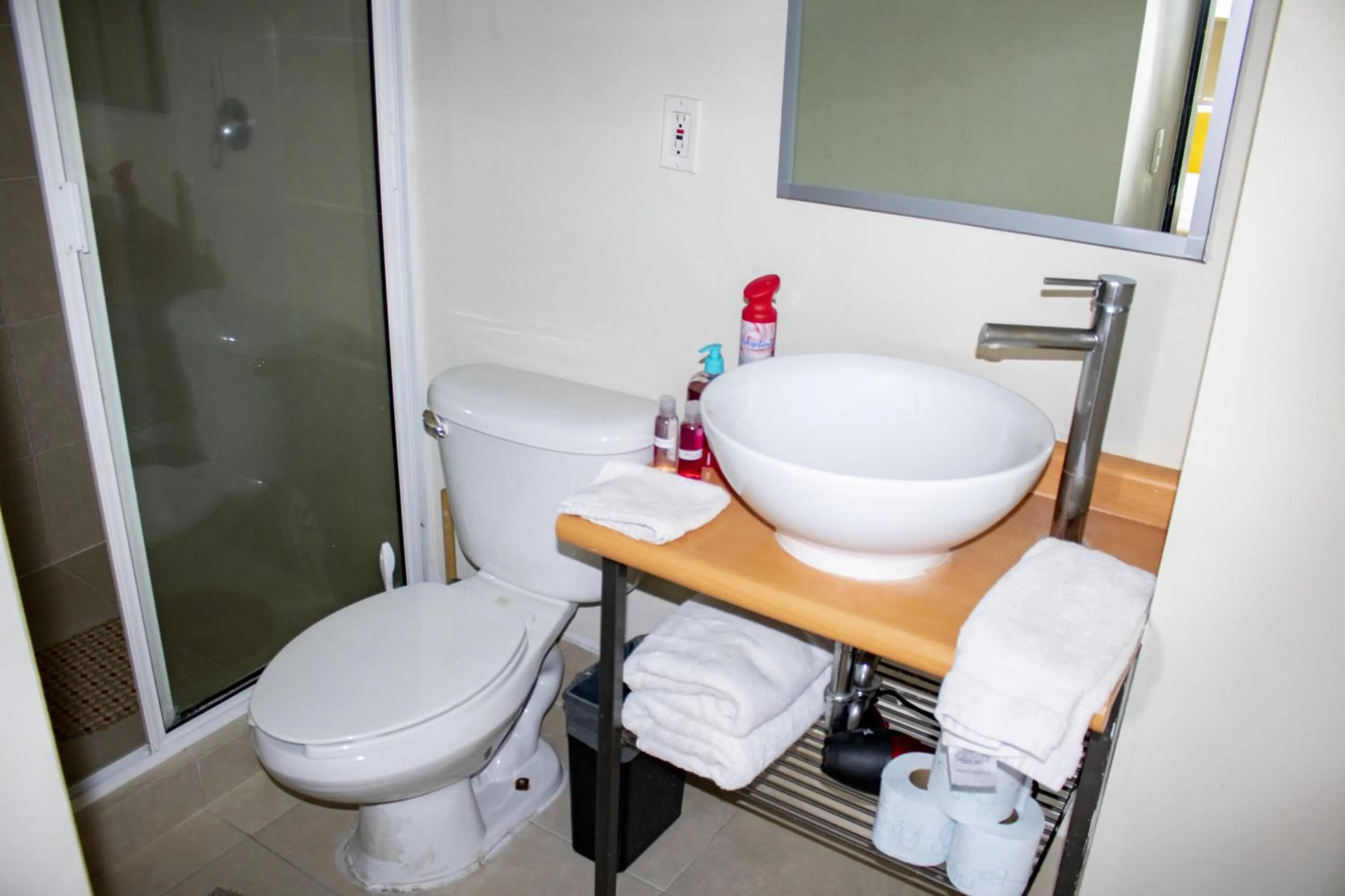 Shower in Puerta Alameda Suites México