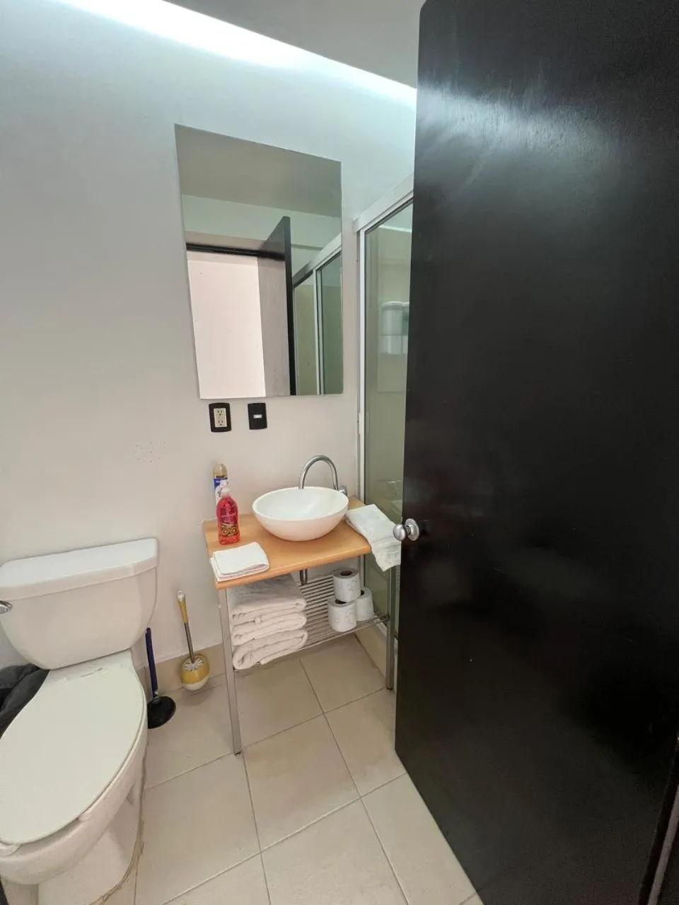 Bathroom in Puerta Alameda Suites México