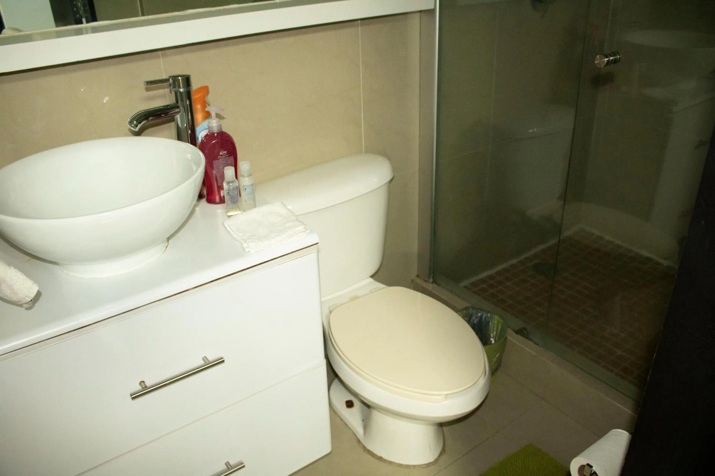 Shower in Puerta Alameda Suites México