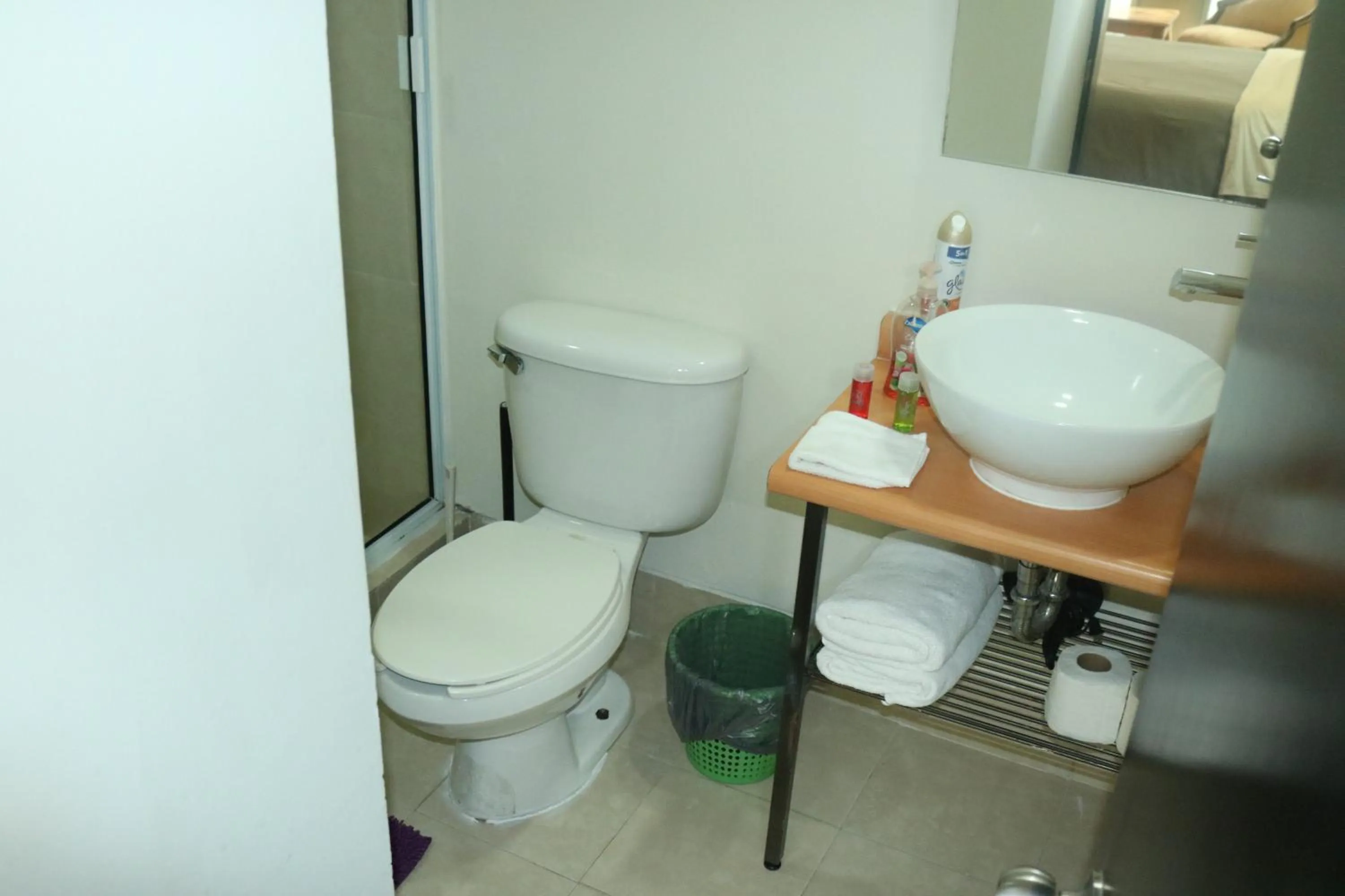 Bathroom in Puerta Alameda Suites México