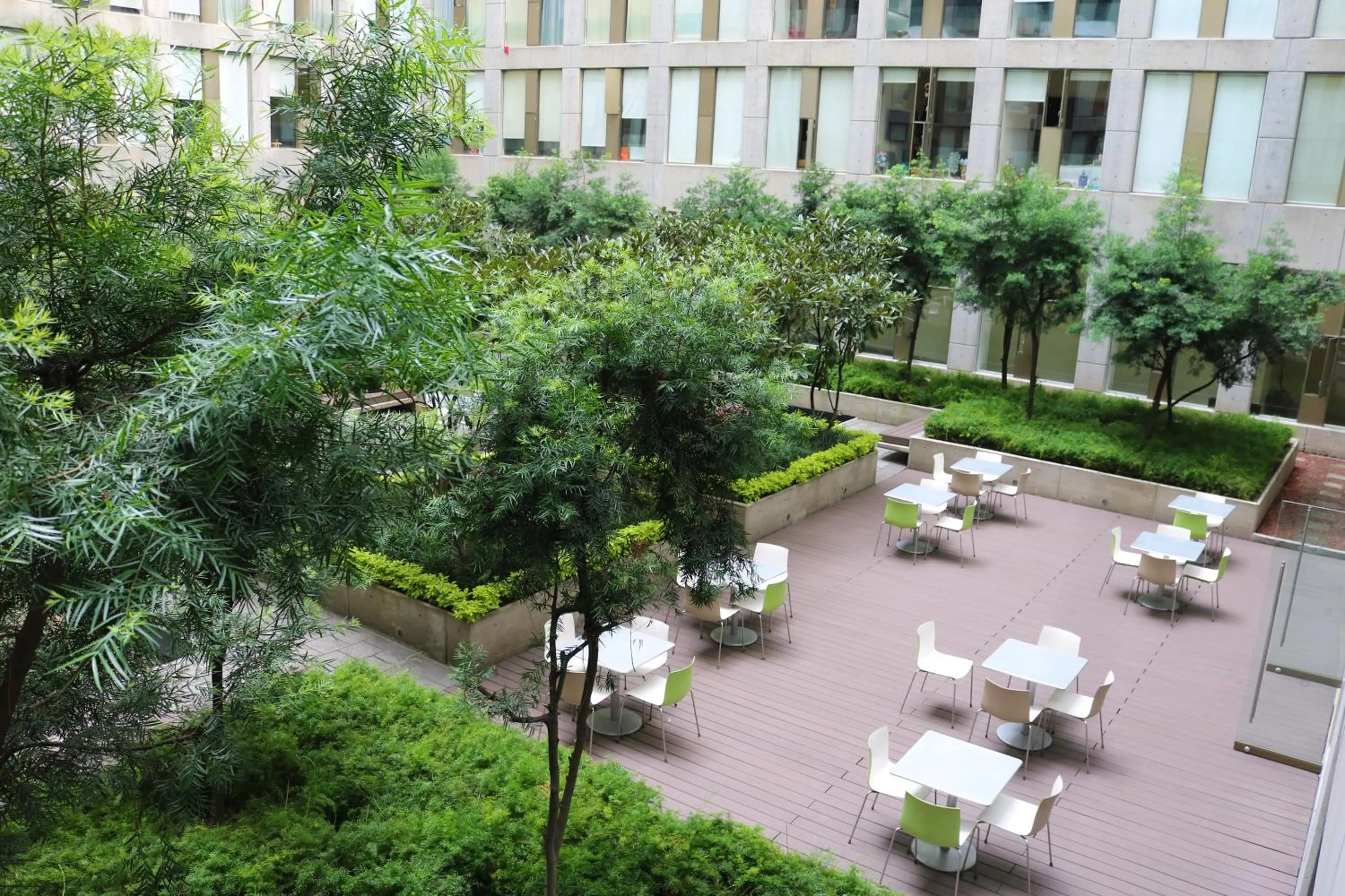 Patio in Puerta Alameda Suites México