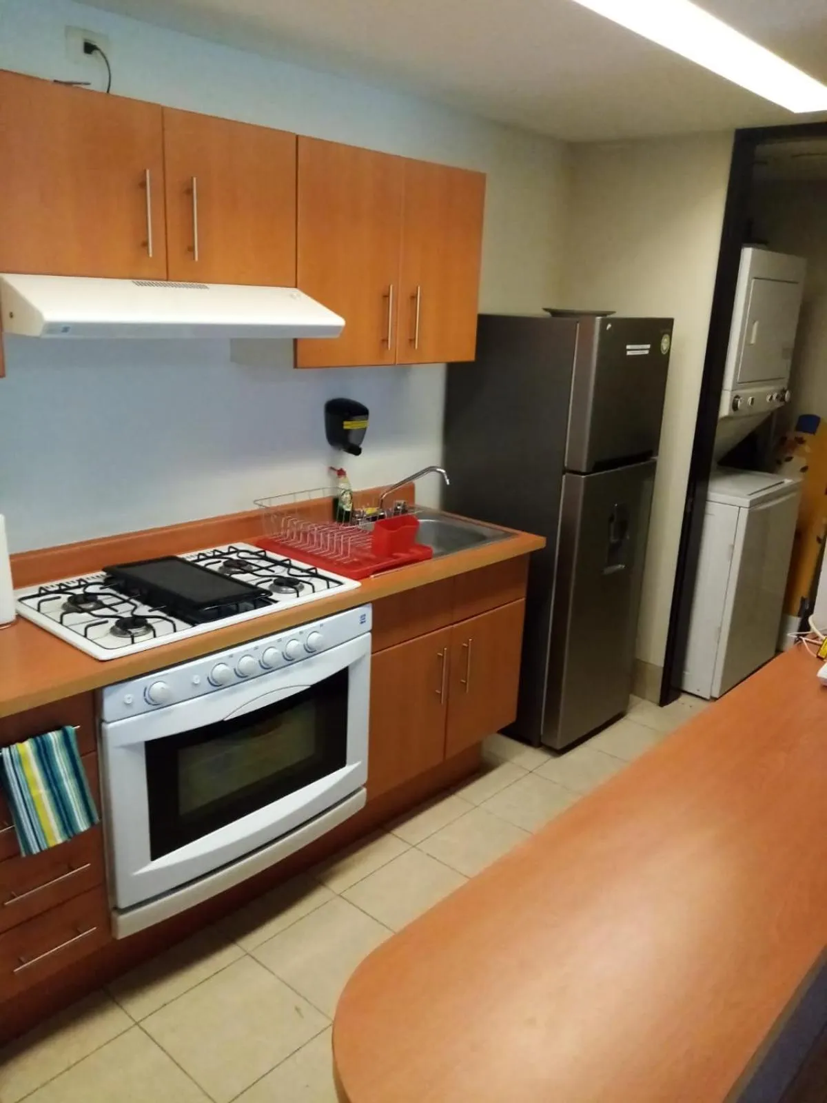 Kitchen or kitchenette in Puerta Alameda Suites México