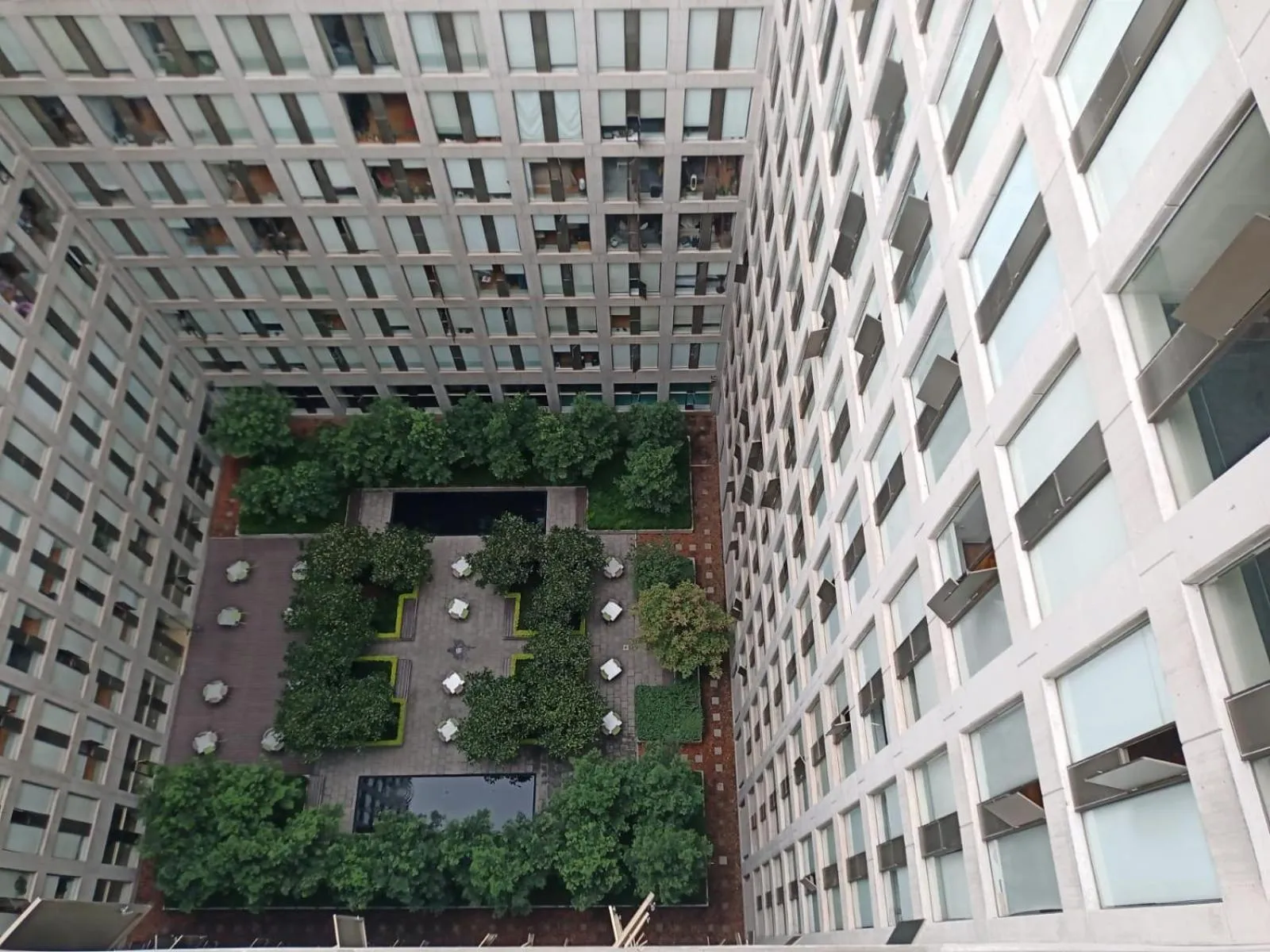 Garden view in Puerta Alameda Suites México