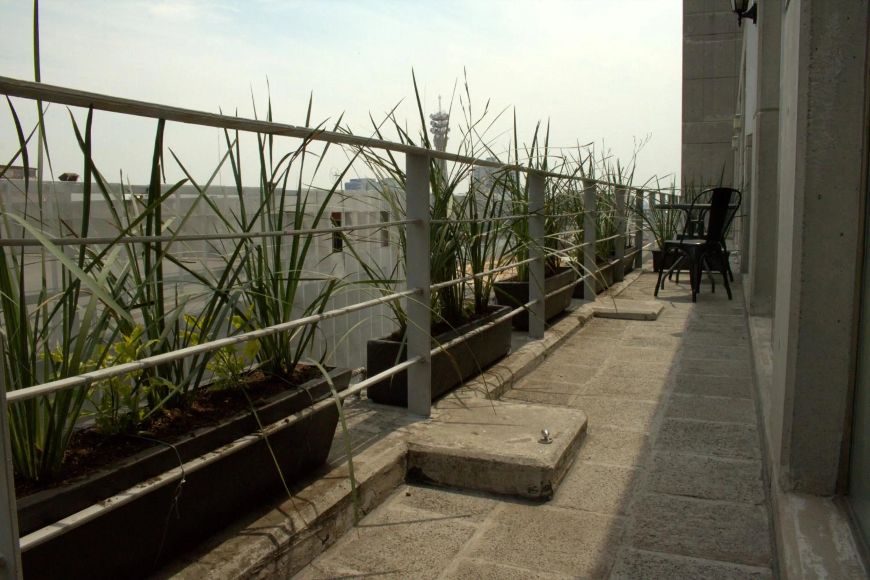Balcony/Terrace in Puerta Alameda Suites México