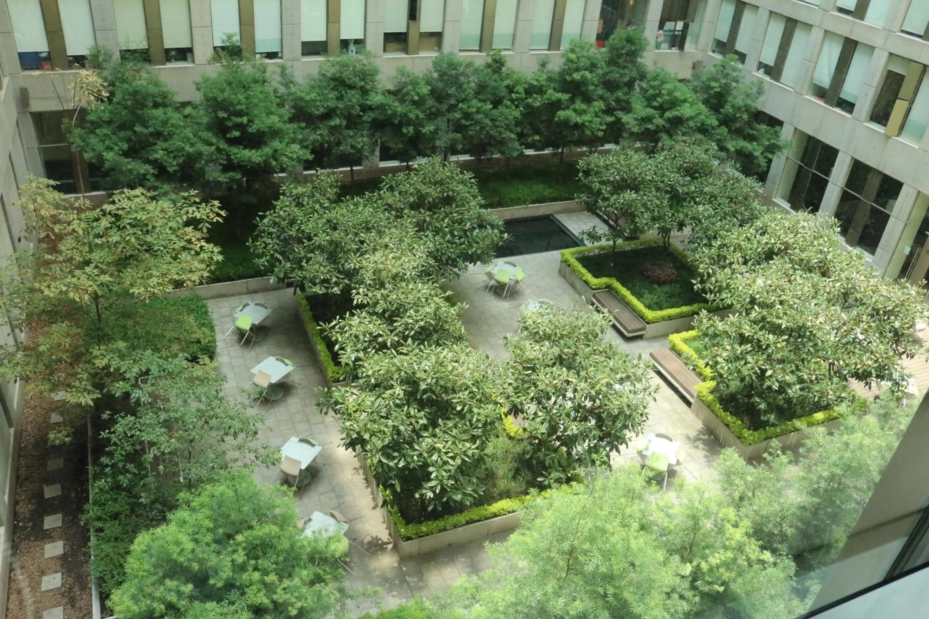 Garden view in Puerta Alameda Suites México