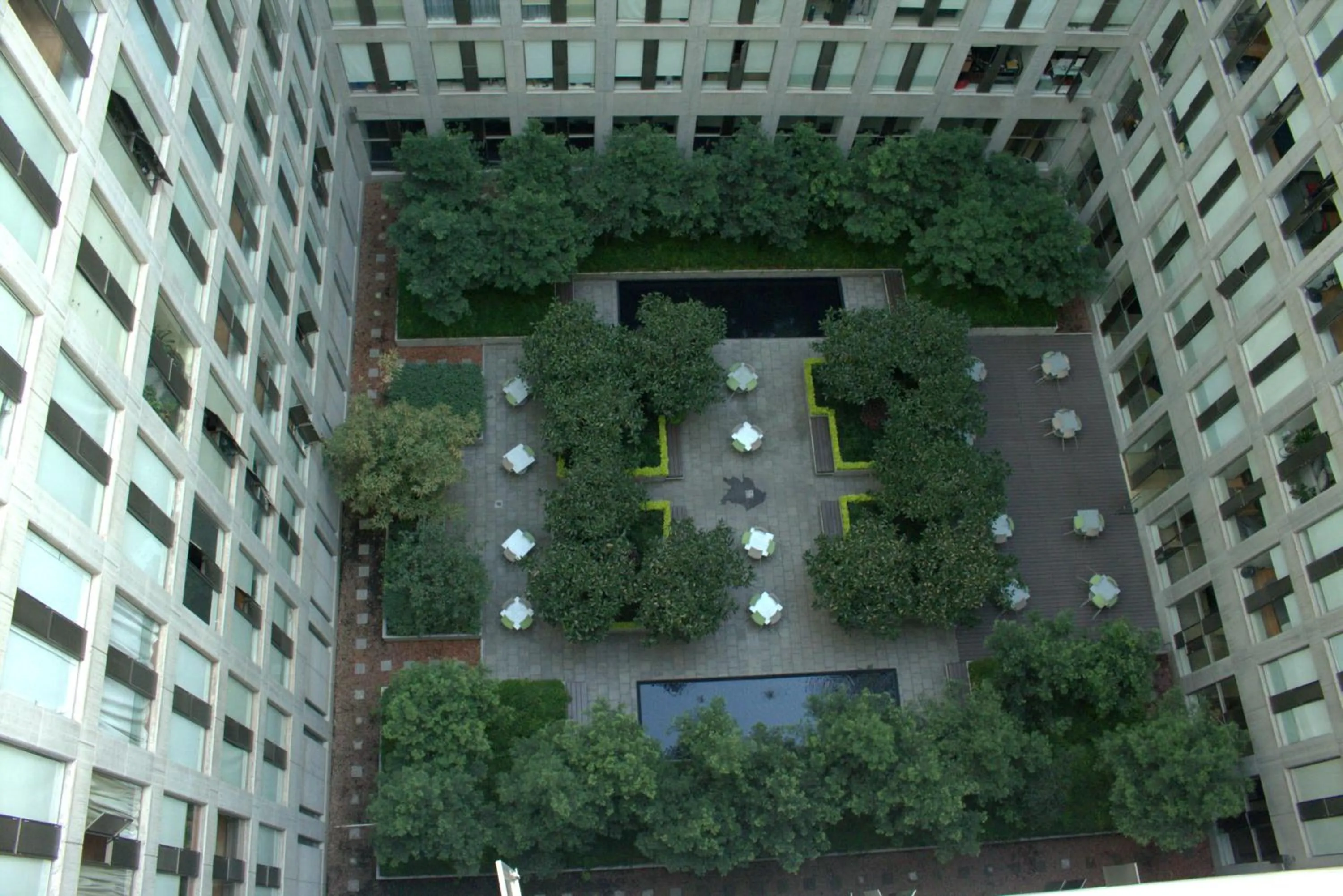 Garden view in Puerta Alameda Suites México